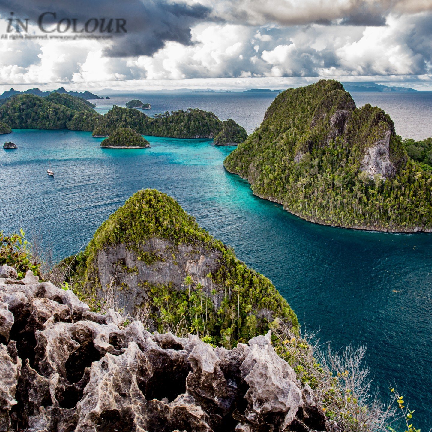 Join us in 2025 on a trip of a lifetime to Raja Ampat and beyond!
Whale sharks, giant leatherback turtles, birds-of-paradise, the richest coral reefs on Earth, WW2 wrecks… this trip has it all!
Our ship-based expeditions are designed for sma