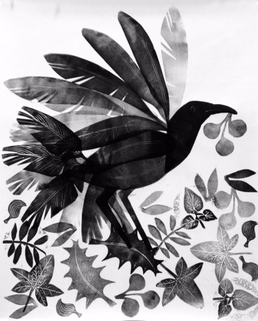 Park bird.jpg