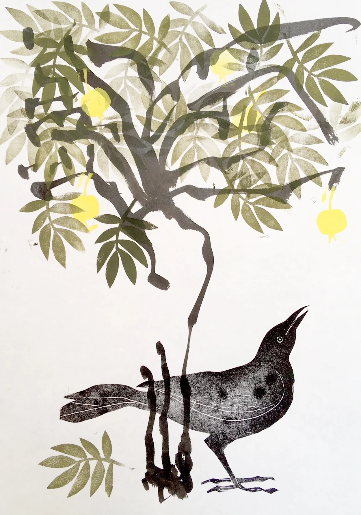 lemon tree.jpg