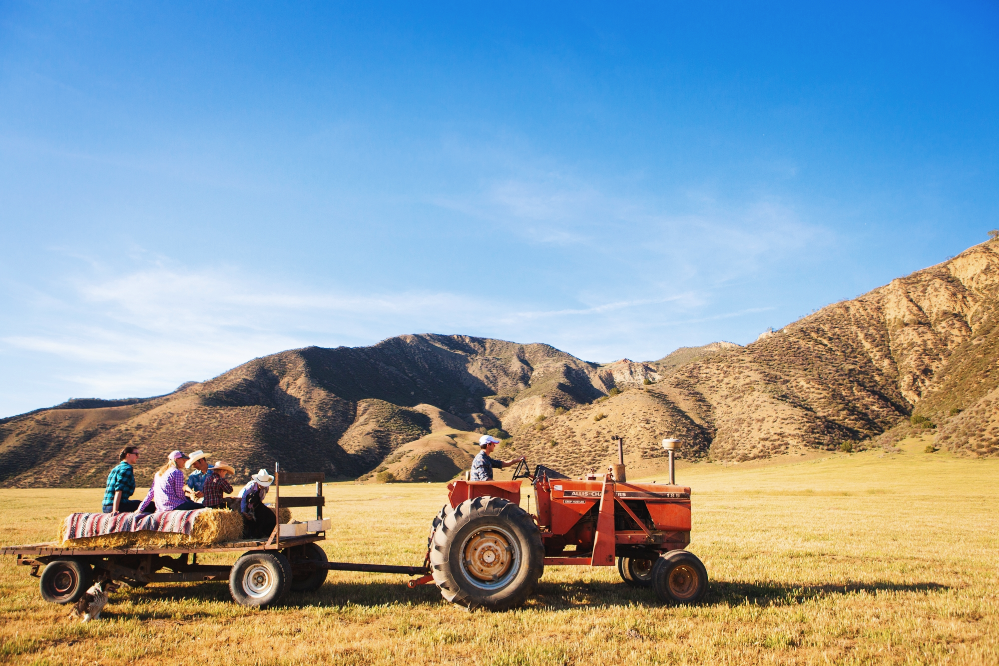 Hayrides