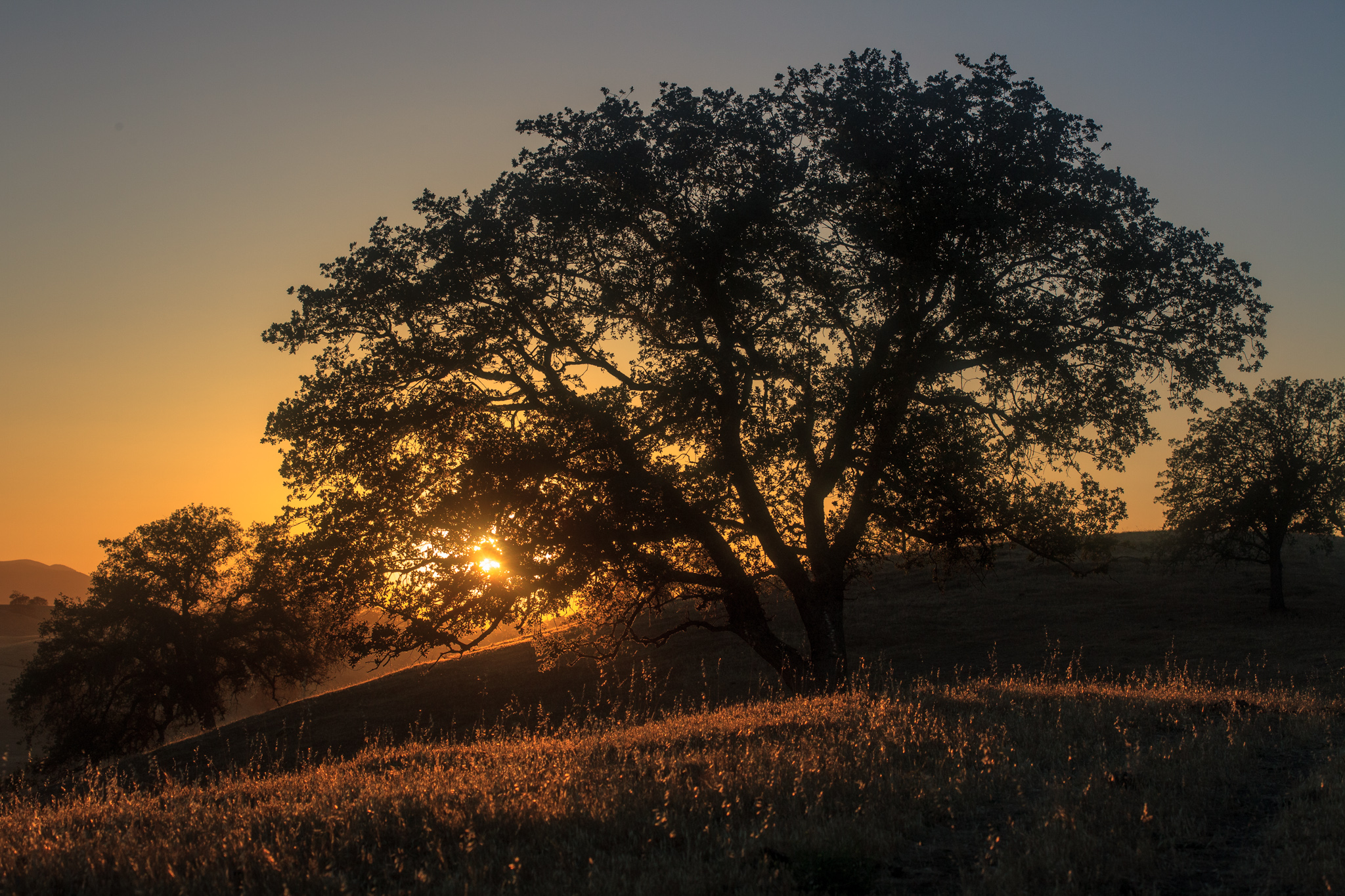 Beautiful Sunsets