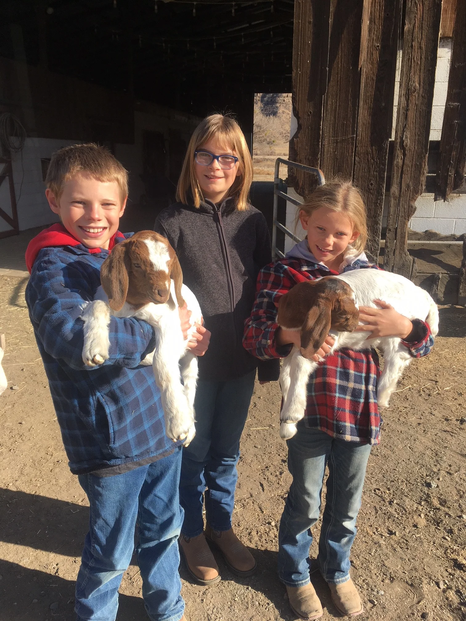 New Goats.jpg