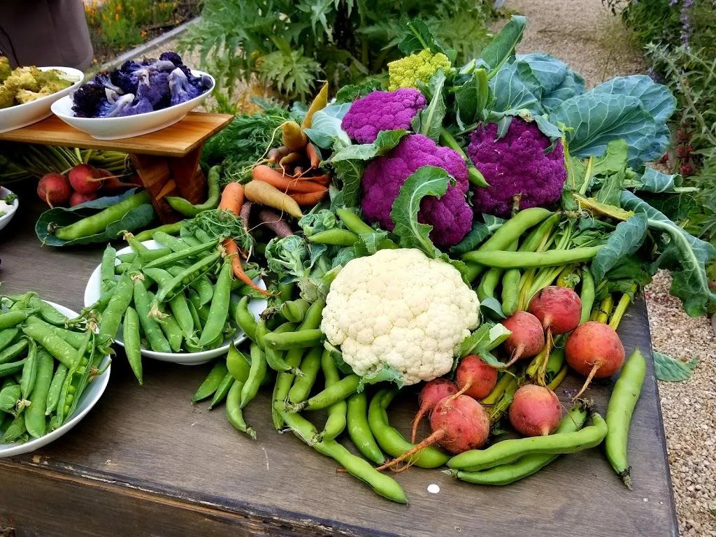 Swank Farms.jpg