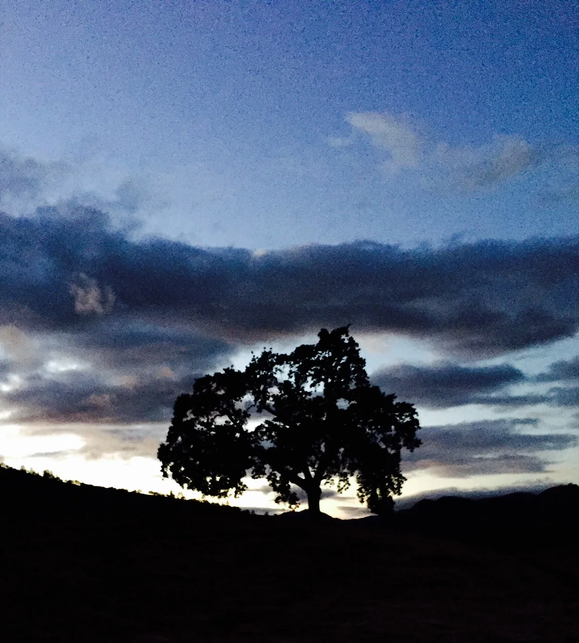 Sky.jpg
