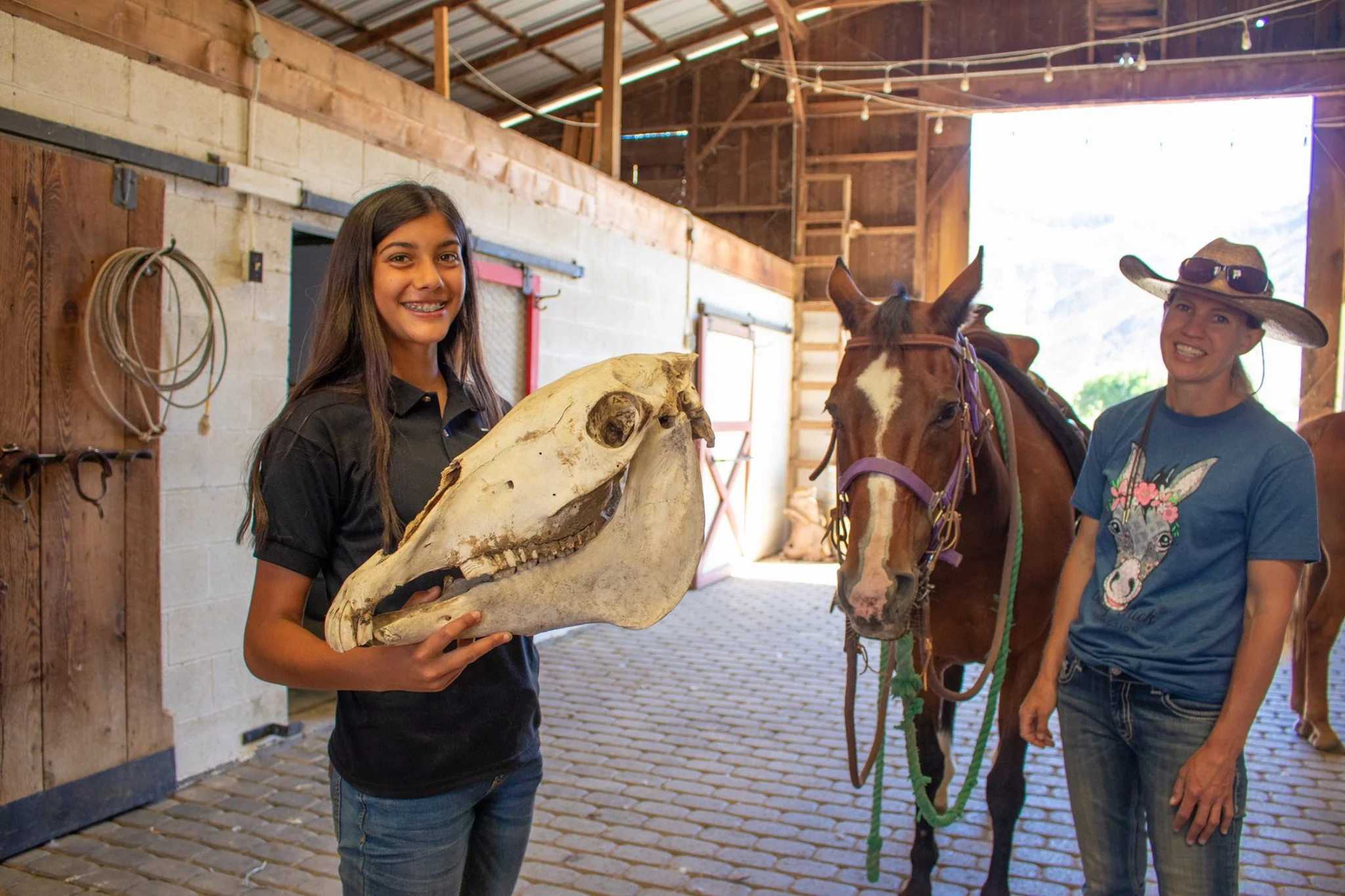 Horse Skull 2.jpg