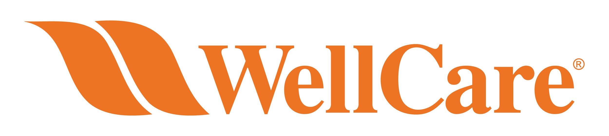 WellCareNC-Logo-Orange-RGB Pamela Smith.jpg