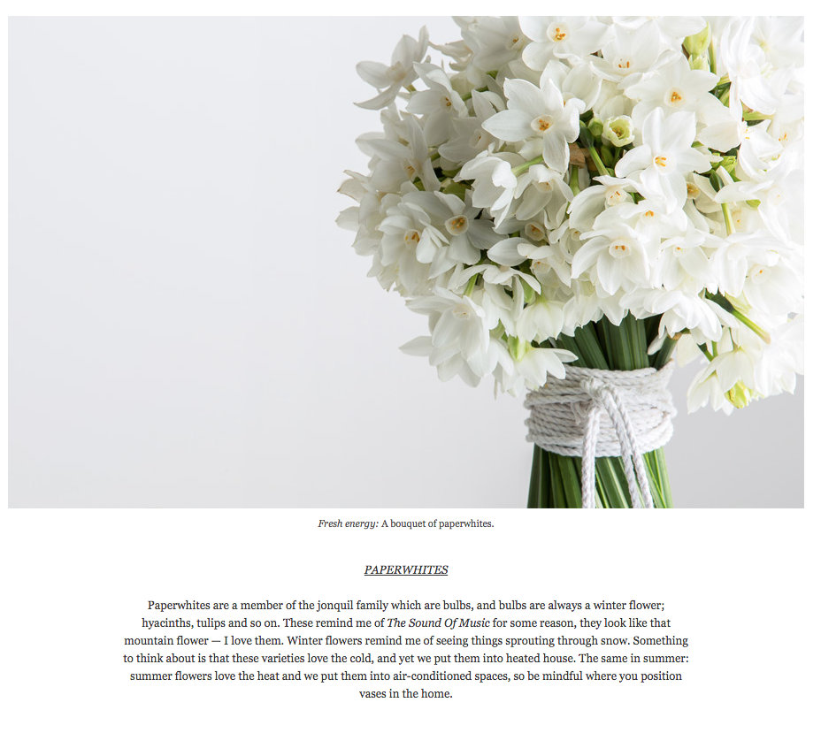 Screen Shot 2015-08-27 at 11.11.05 am.png