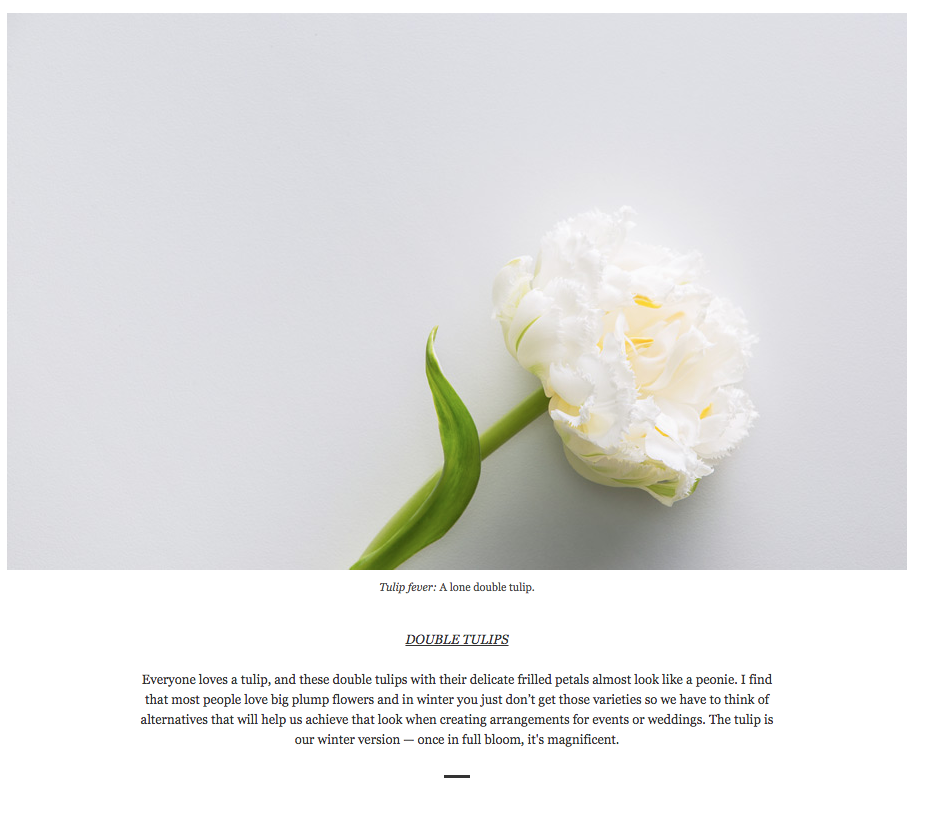 Screen Shot 2015-08-27 at 11.11.15 am.png