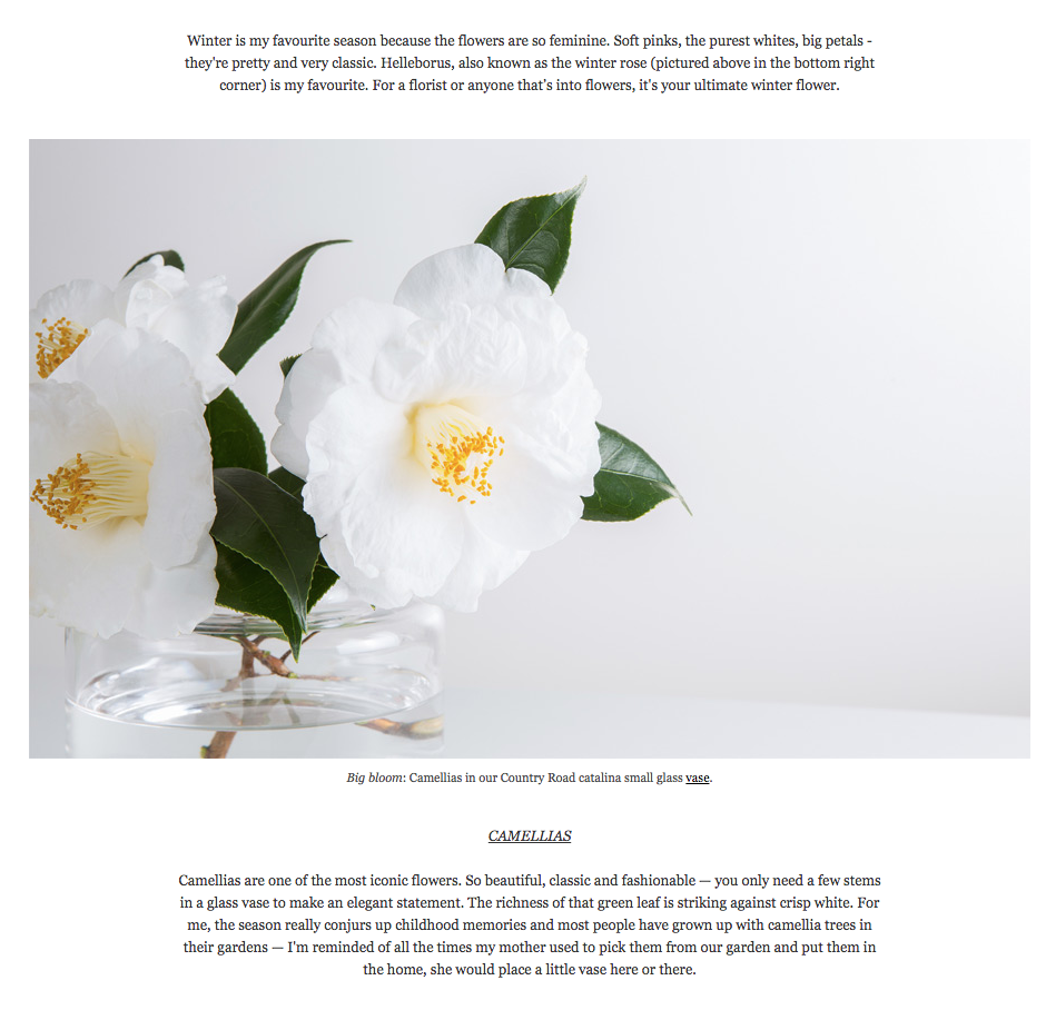 Screen Shot 2015-08-27 at 11.10.47 am.png
