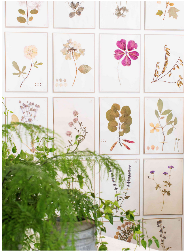Screen Shot 2015-08-27 at 11.37.56 am.png