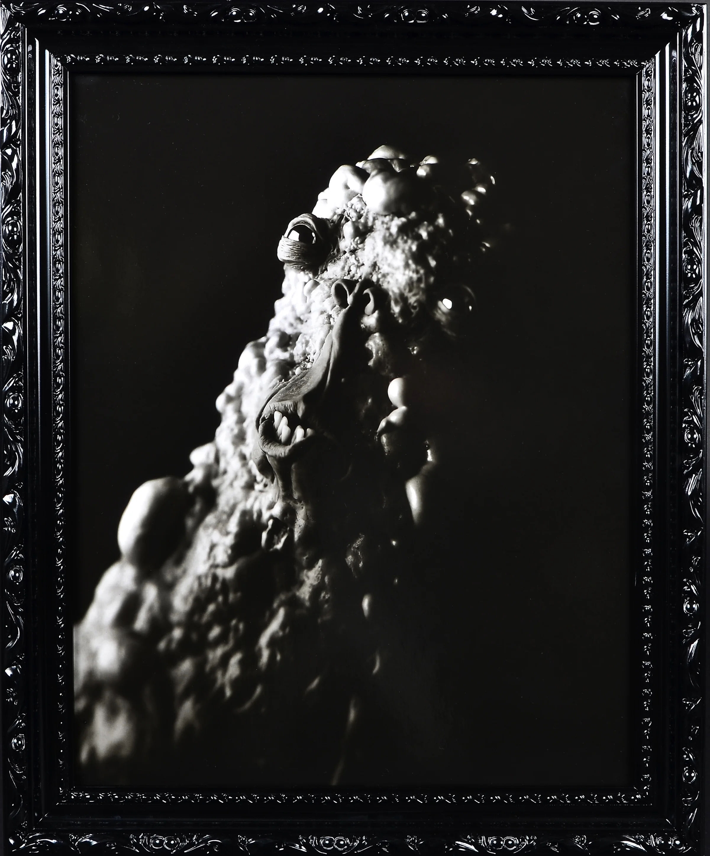 Kirby photo by Michael A Baker2.jpg