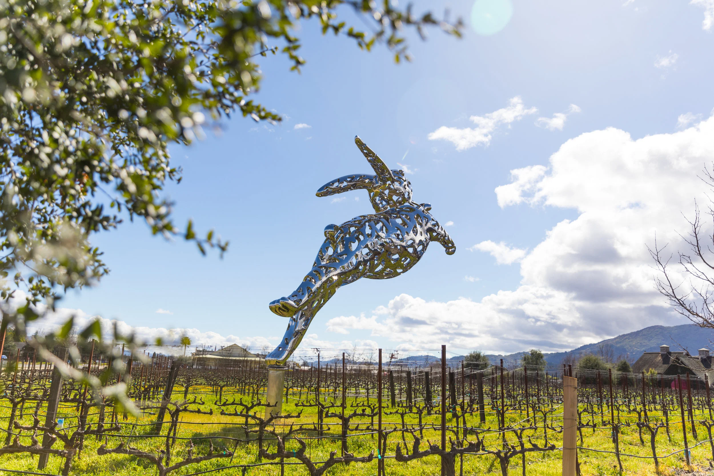 Emily Byrski_Visit Napa Valley-16.jpg