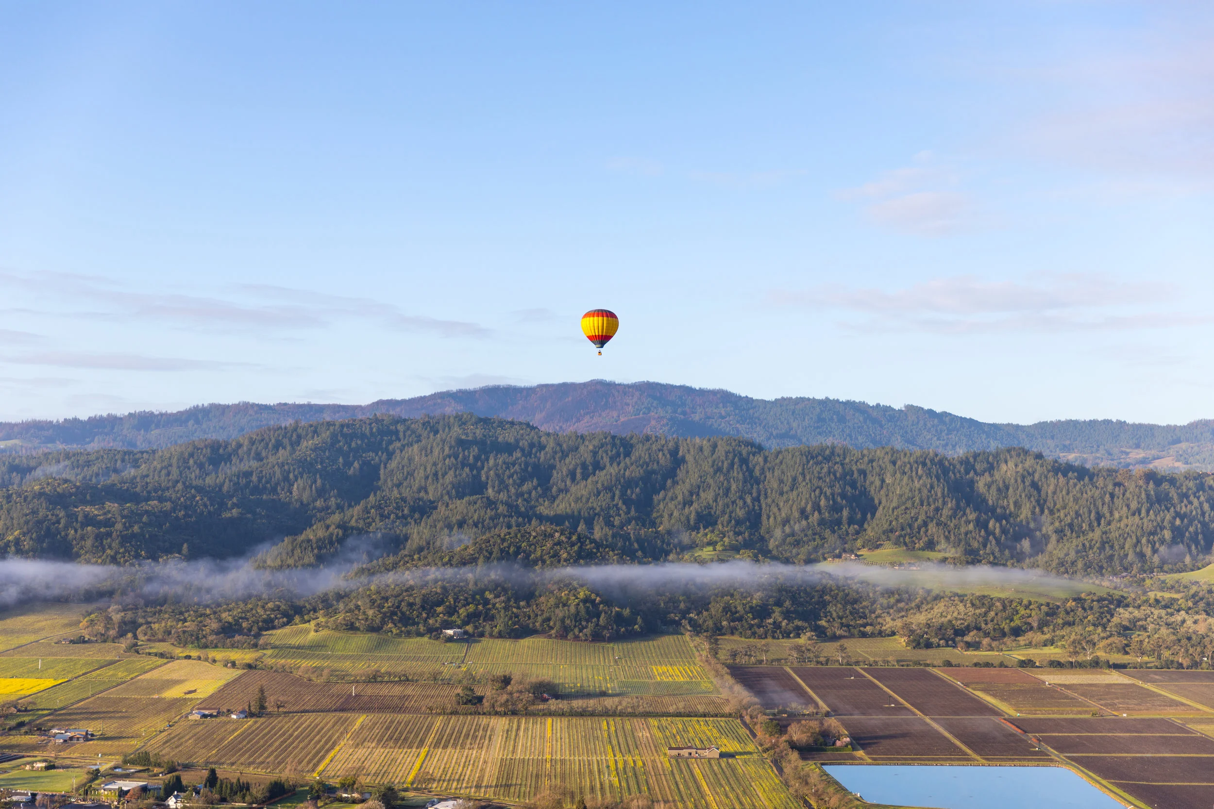 Emily Byrski_Visit Napa Valley-30.jpg