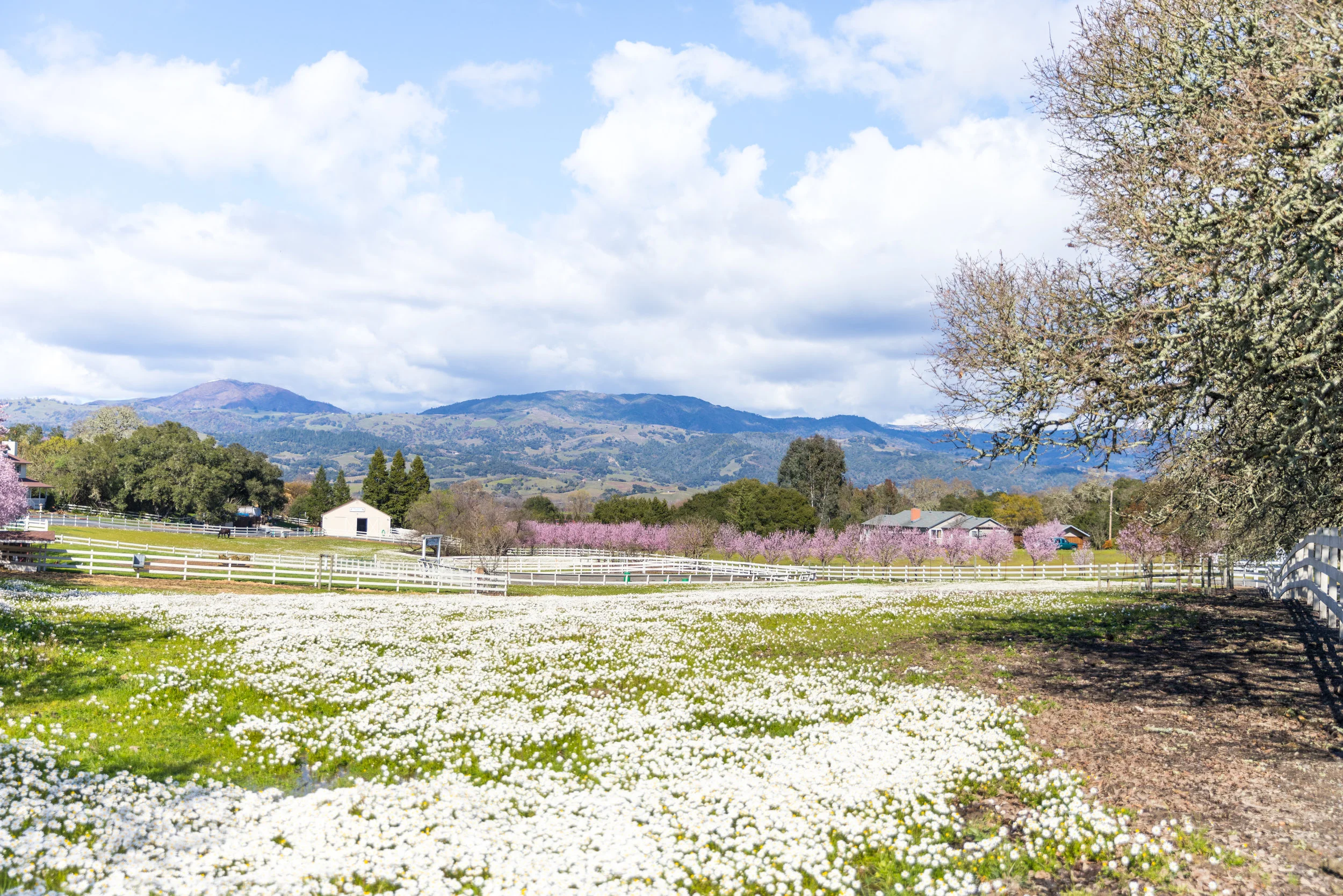 Emily Byrski_Visit Napa Valley-45.jpg