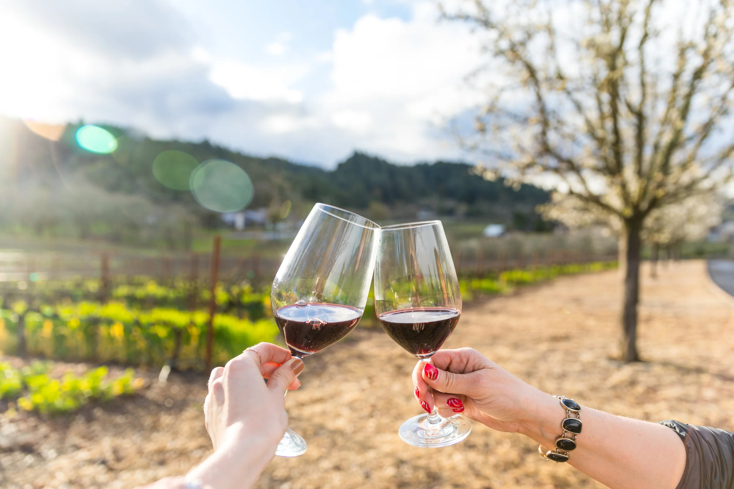 Emily Byrski_Visit Napa Valley-2.jpg