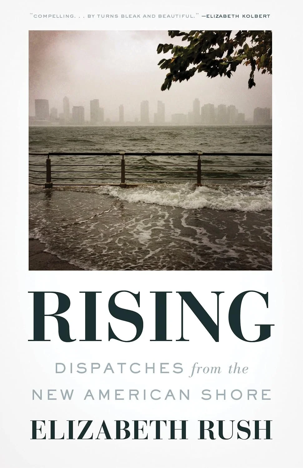 Rising Book Cover