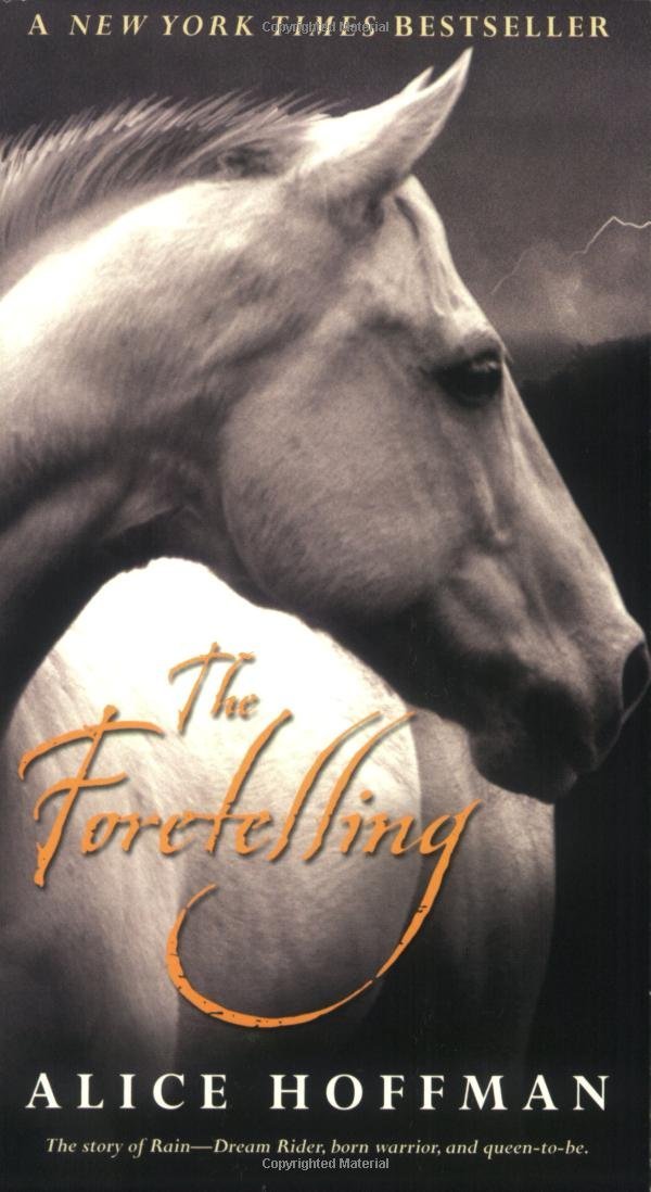 The Foretelling Book Cover