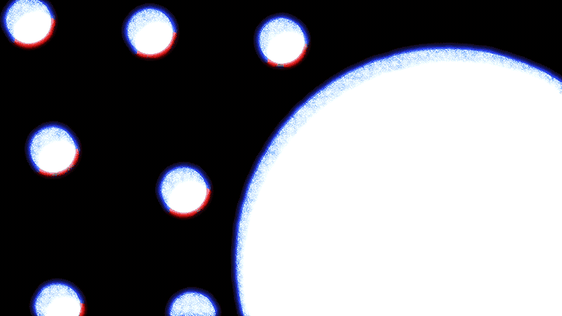 company-x