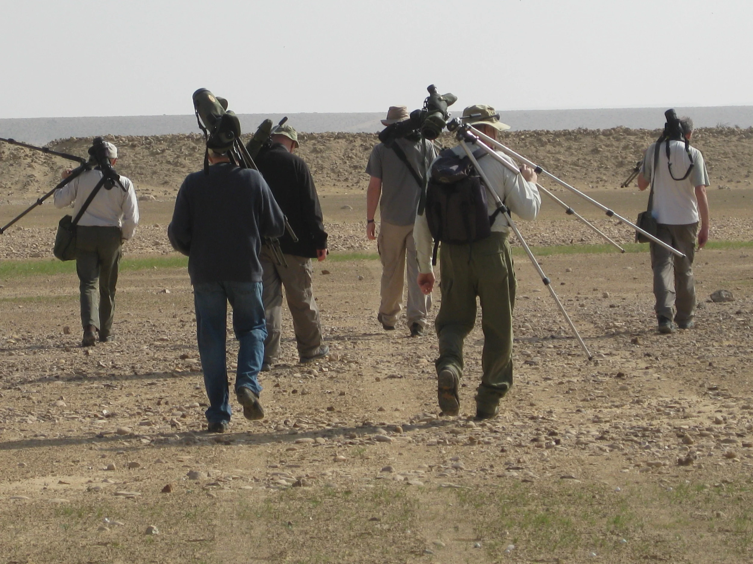 A Frenchman and five Englishmen about the important business of birding.