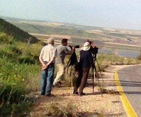 Mount Gilboa
