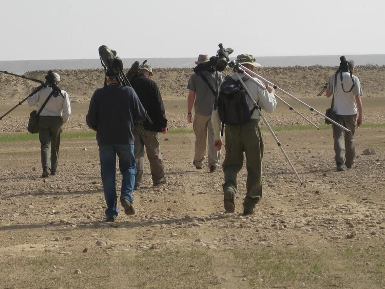 A Frenchman and five Englishmen about the important business of birding.