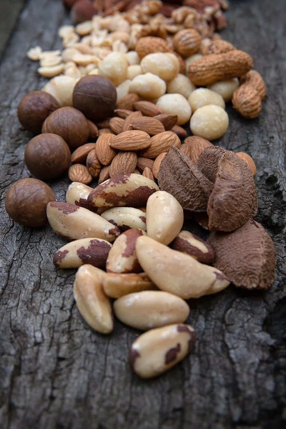 Nuts -small (1).jpg
