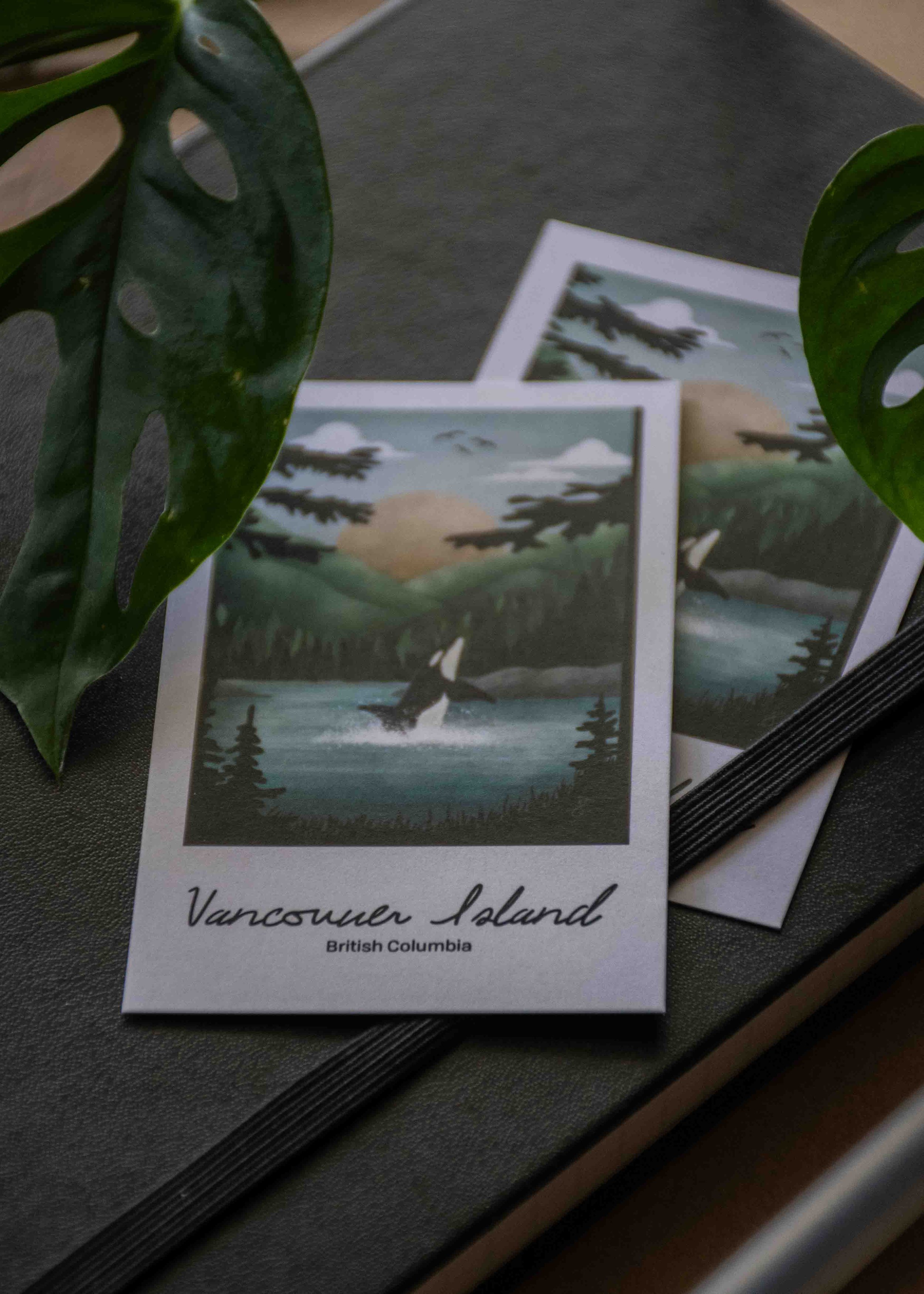 Destinations-Vancouver-Island-BC-Polaroid-Laurelle-Armet.jpg