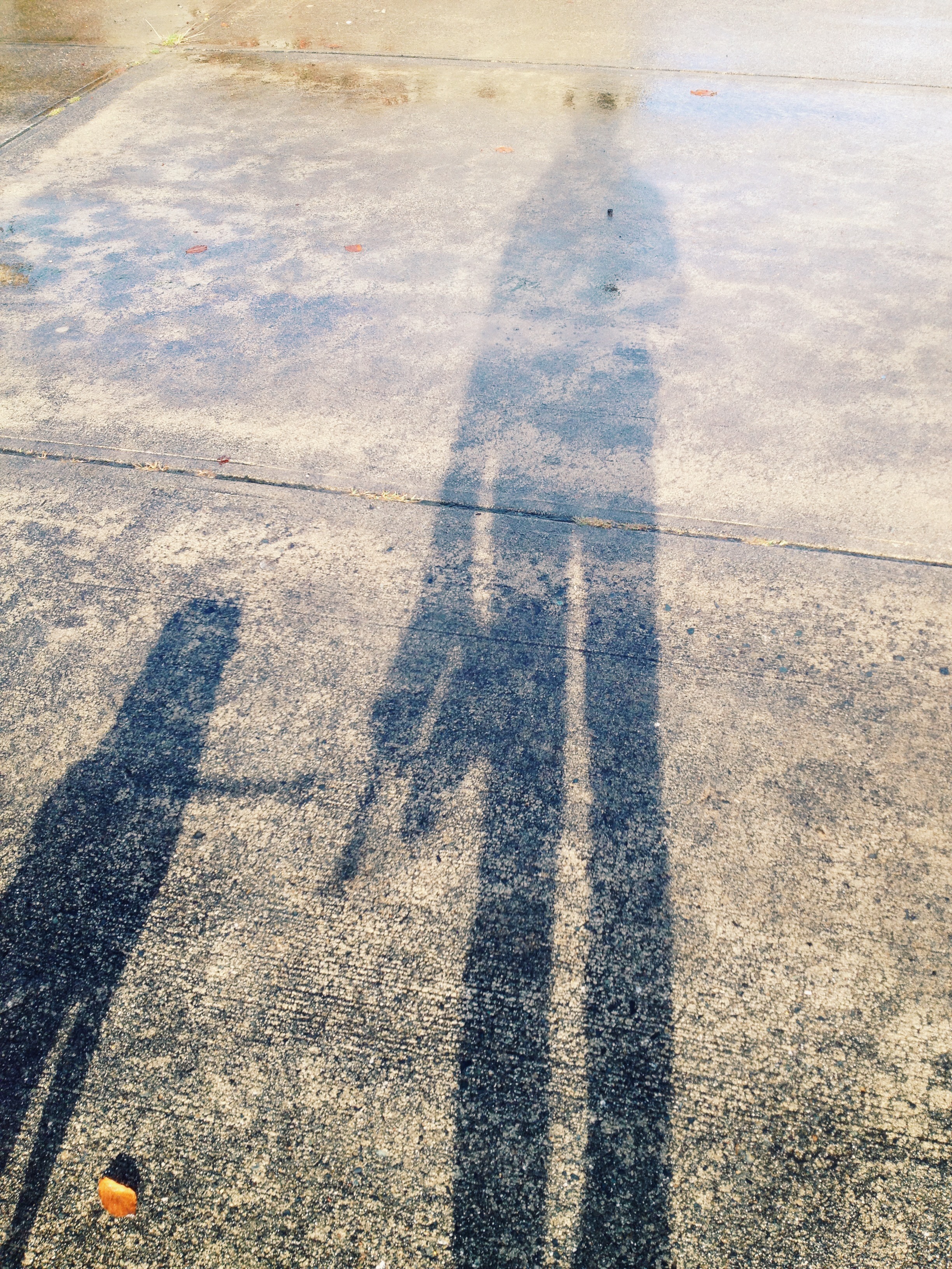 A shadow of who we used to be.