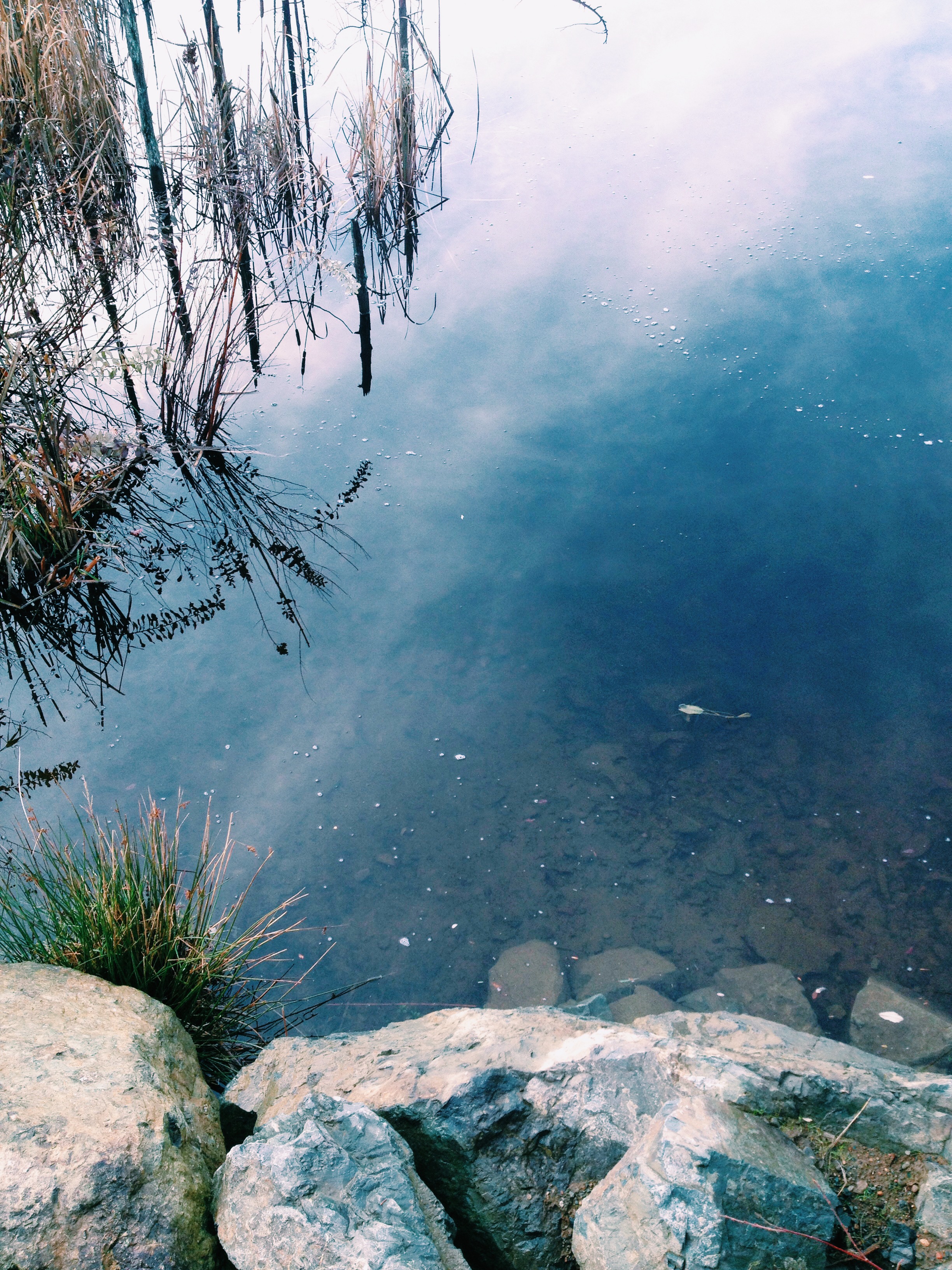 This water reflects like glass.