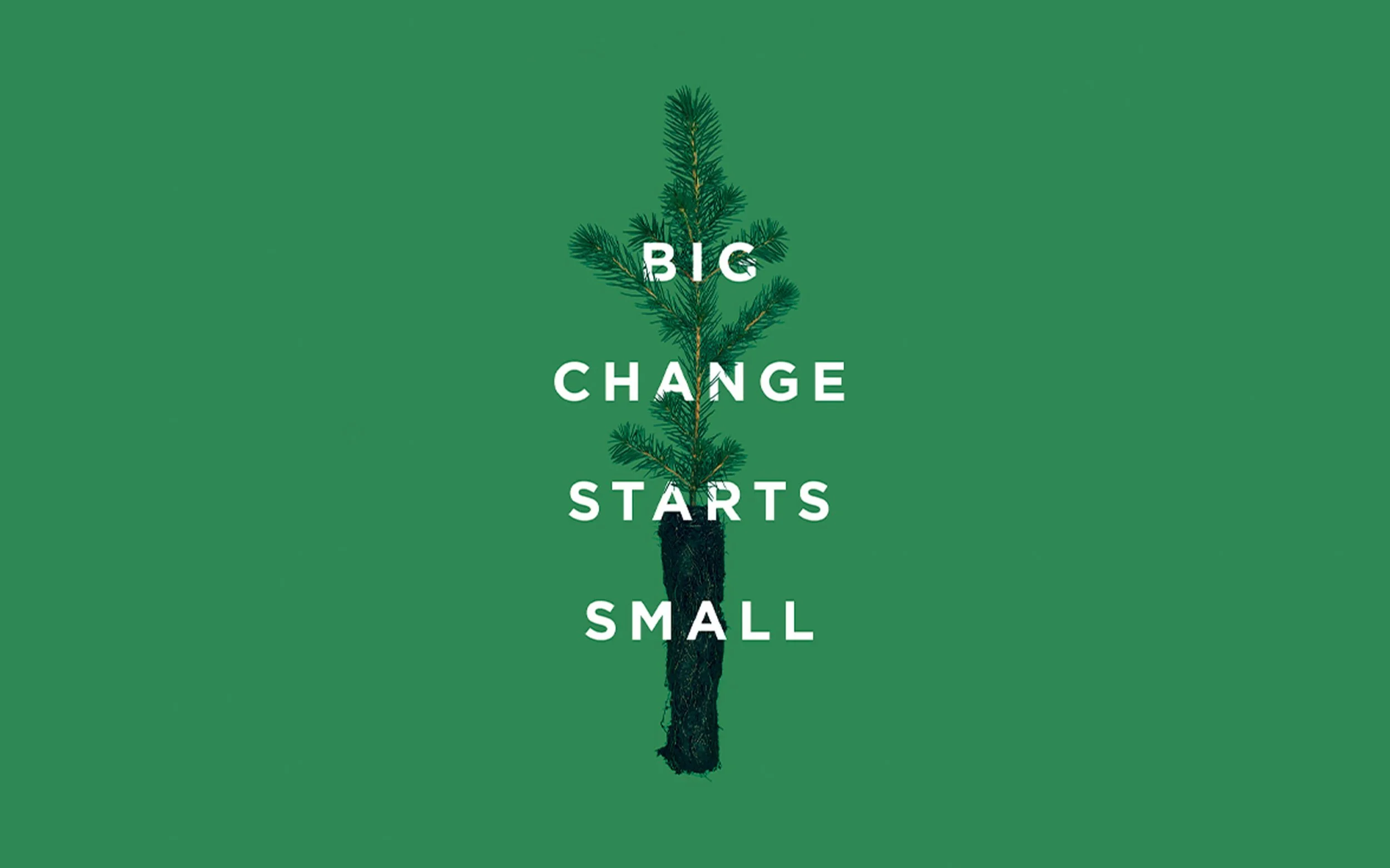 Minimalist green graphic for tentree’s Earth Week campaign featuring a young tree and the slogan “Big Change Starts Small,” promoting sustainability and environmental responsibility.