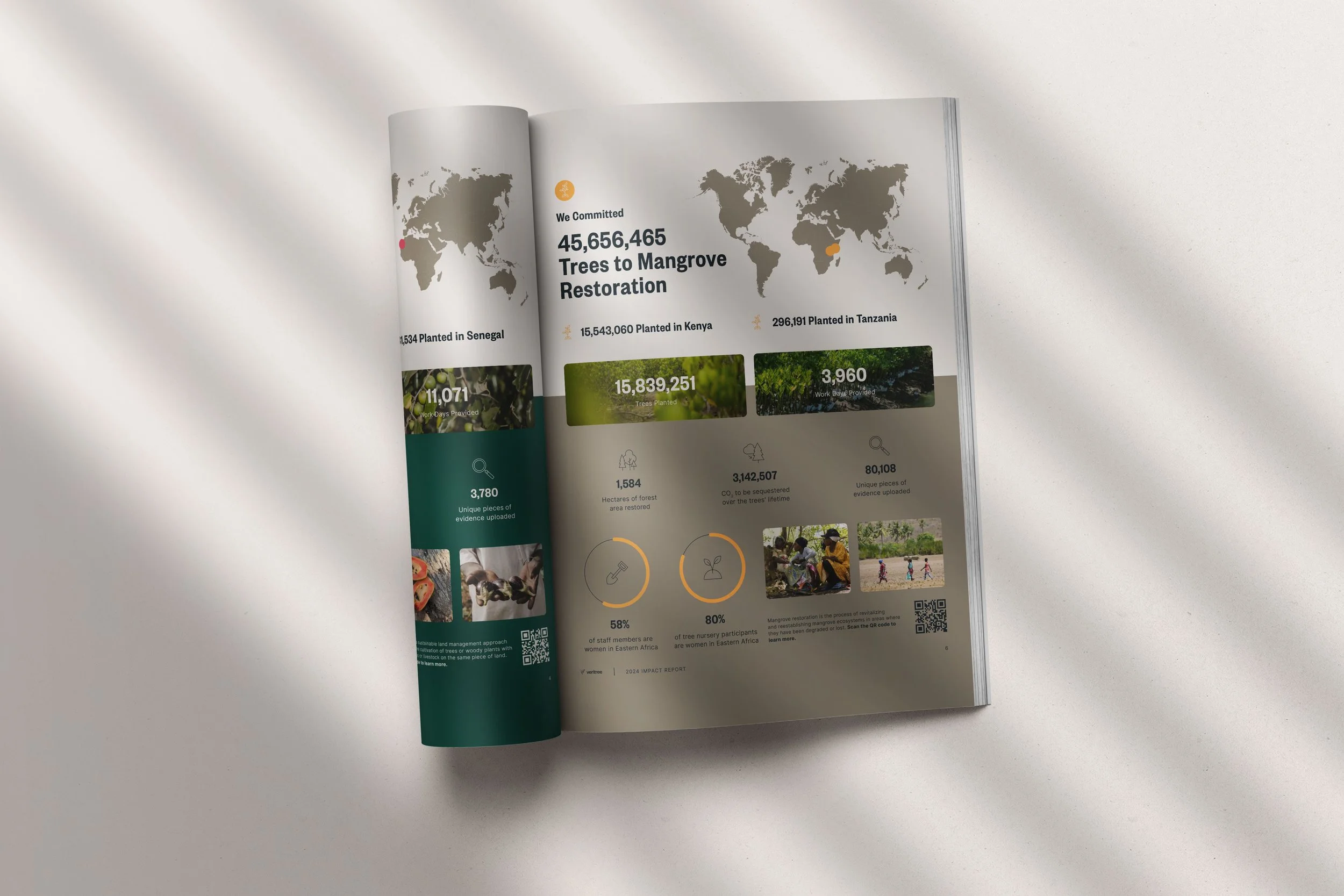 Open magazine spread from tentree’s Sustainability Report designed by Laurelle Armet, featuring infographics, maps, and environmental data visualizing mangrove restoration and global tree-planting impact.