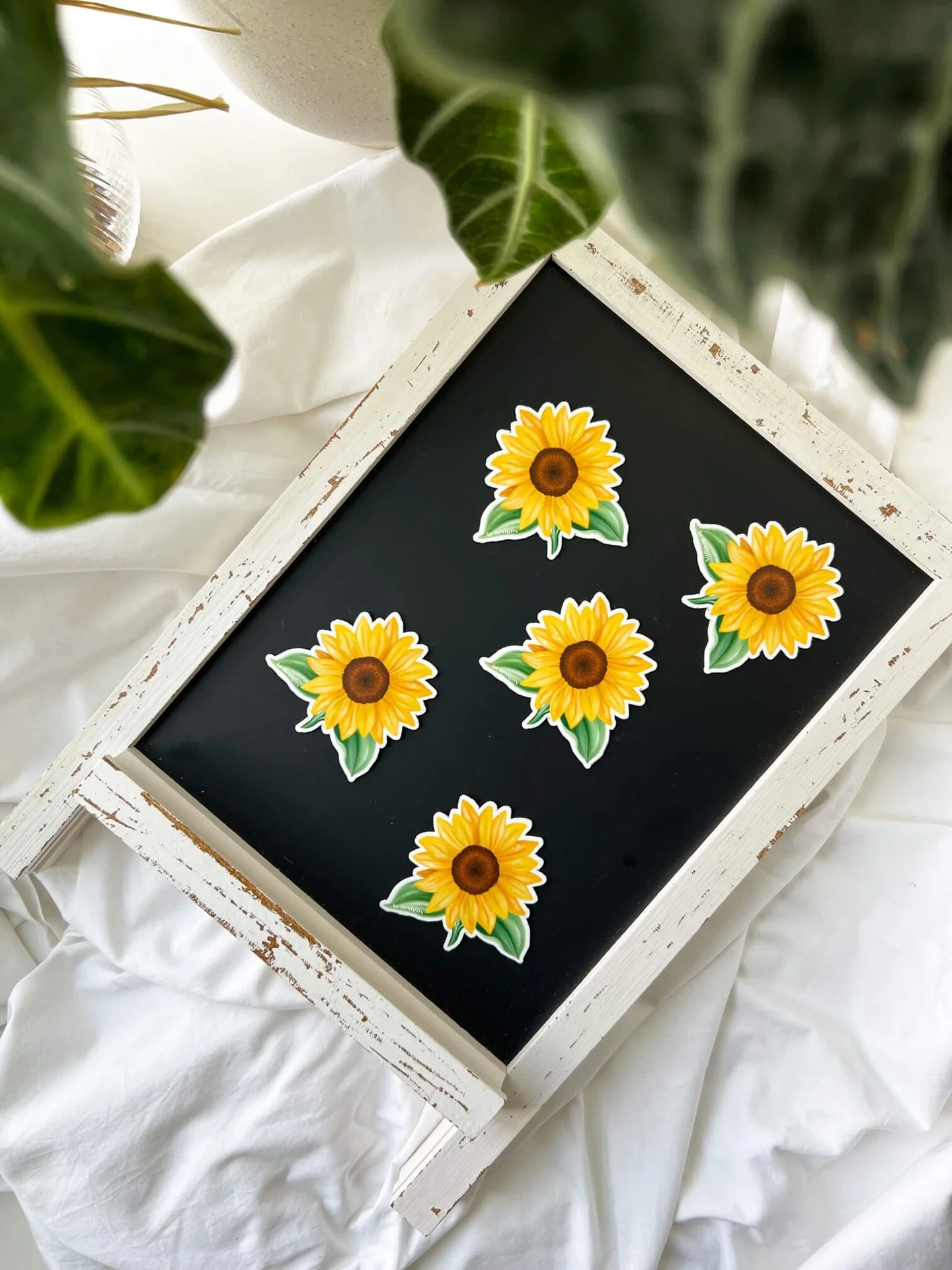 If your fridge is giving&hellip; nothing, we should fix that 🖼️

These magnets are small but mighty, designed with organic illustrations rooted in nature. From dreamy florals to destination-inspired pieces that bring your favourite places home. Each