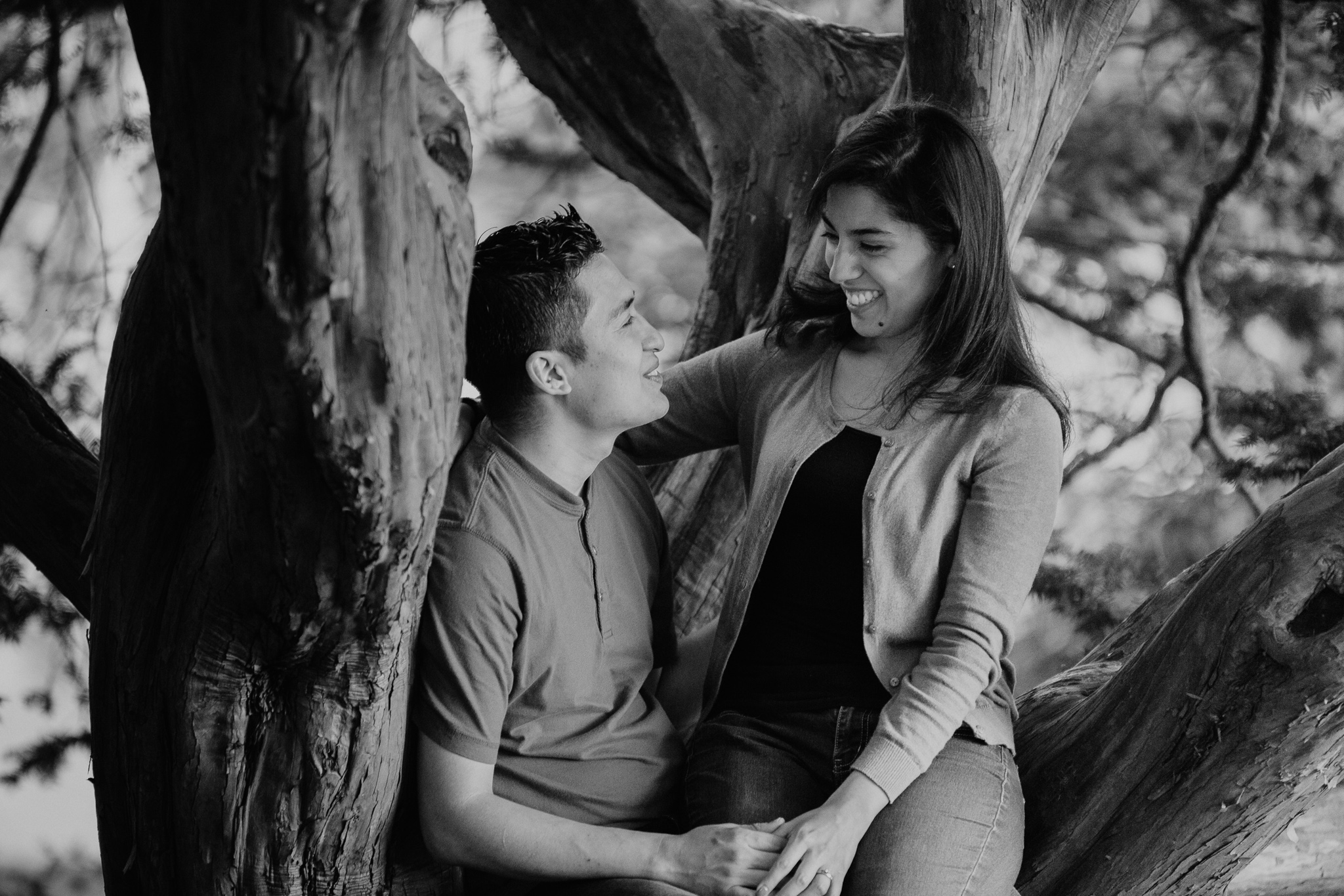 engagements-12.jpg