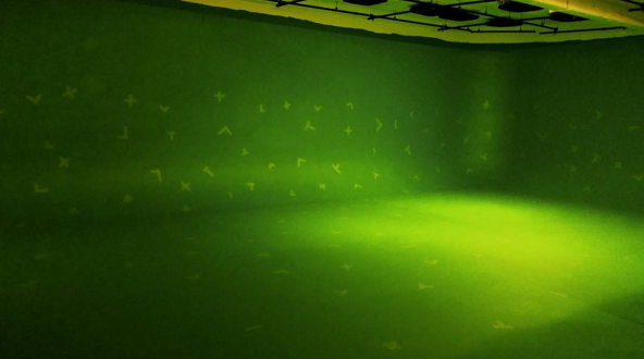 Green screen studio with digital markers on walls and floor for motion capture