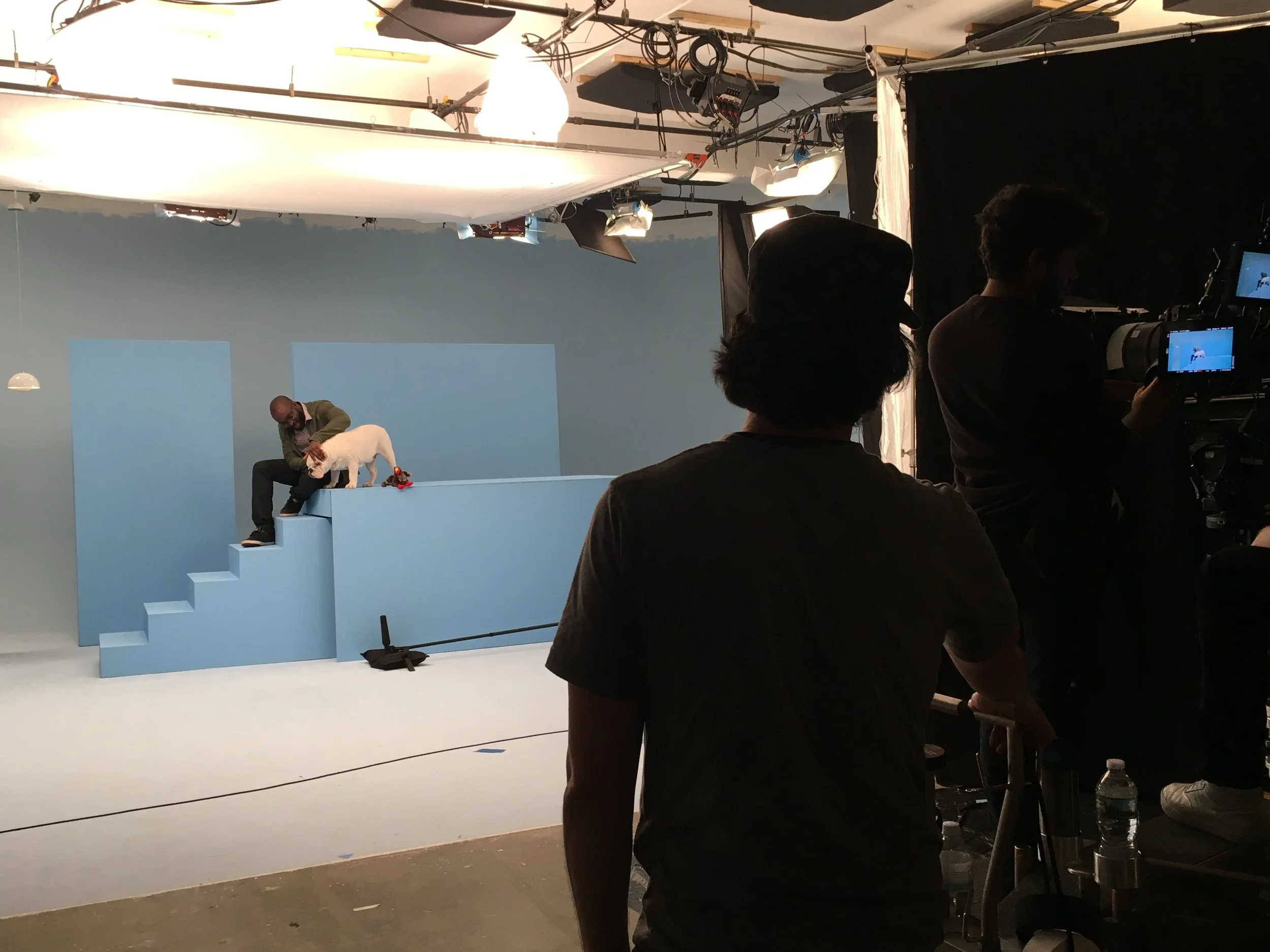 Be Electric - Barkbox.JPG