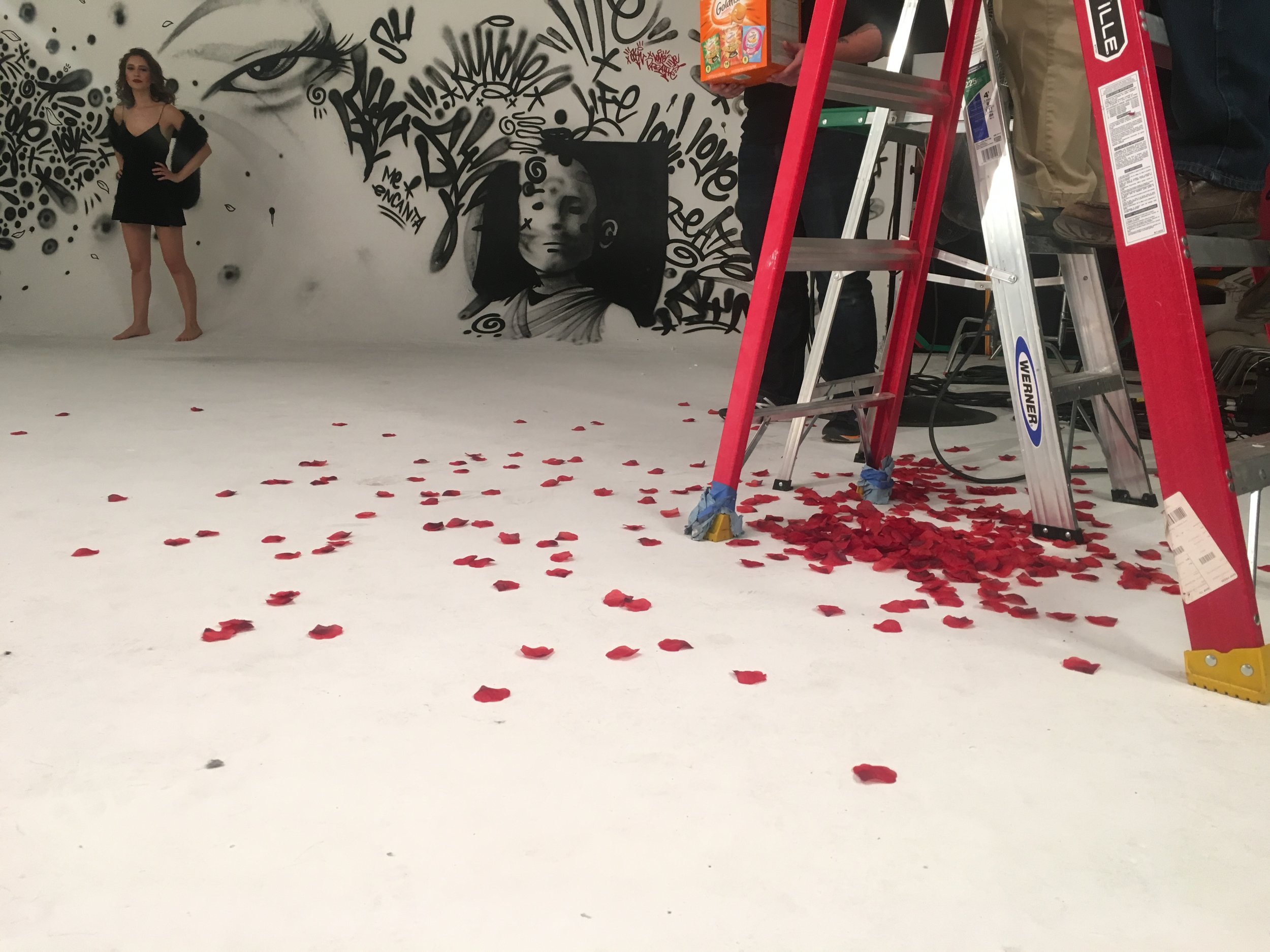 mikaella-ashley-musicvideo-mural-nycproduction-arri.jpg