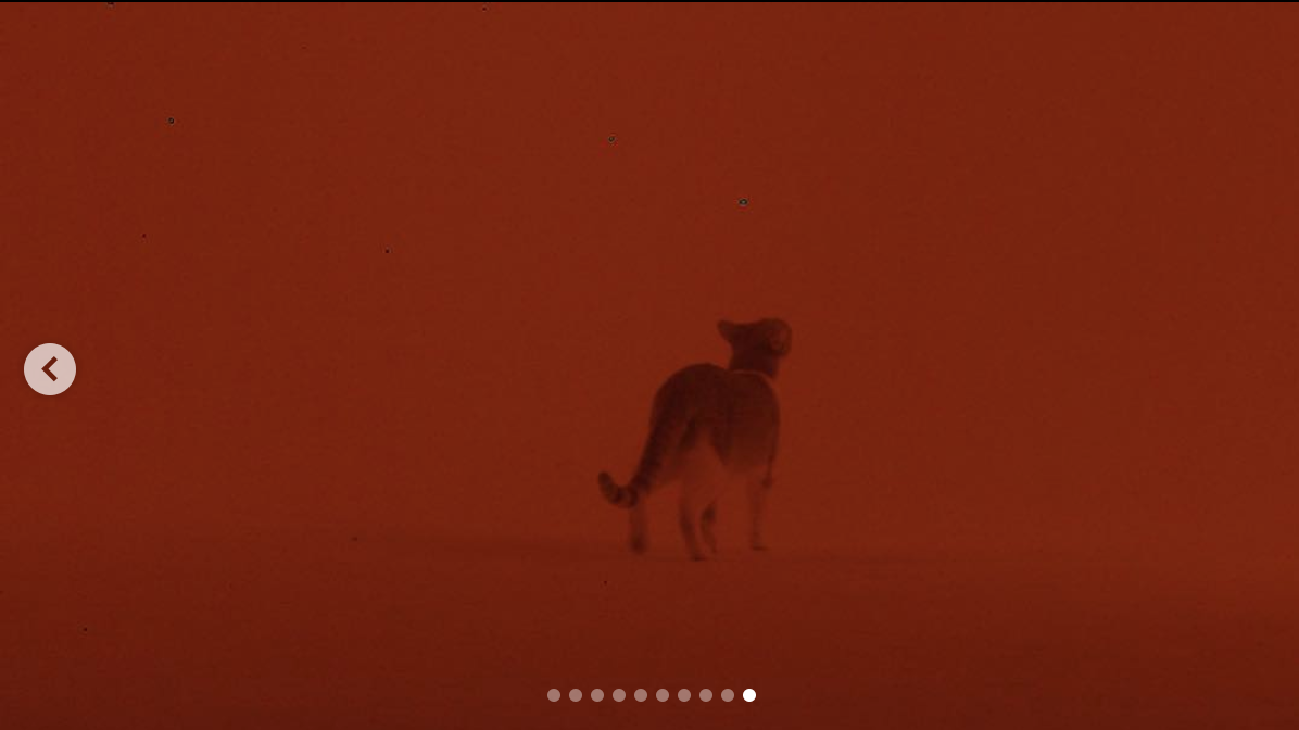 Screen Shot 2019-01-01 at 5.37.16 PM.png