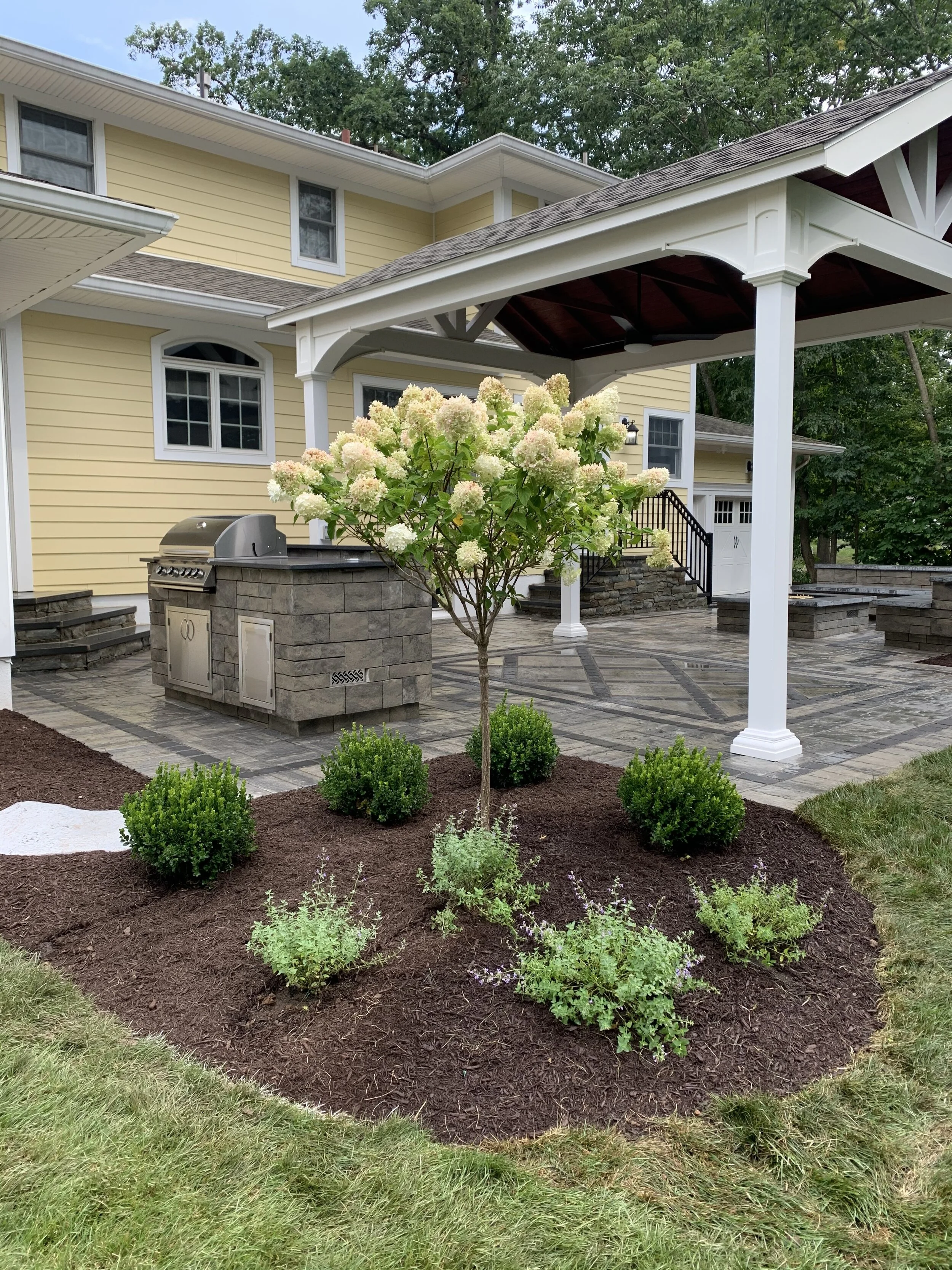 A landscaped backyard with a yellow house, a covered patio with white columns, a built-in outdoor grill, and a small tree with white flowers surrounded by green shrubs and mulch.