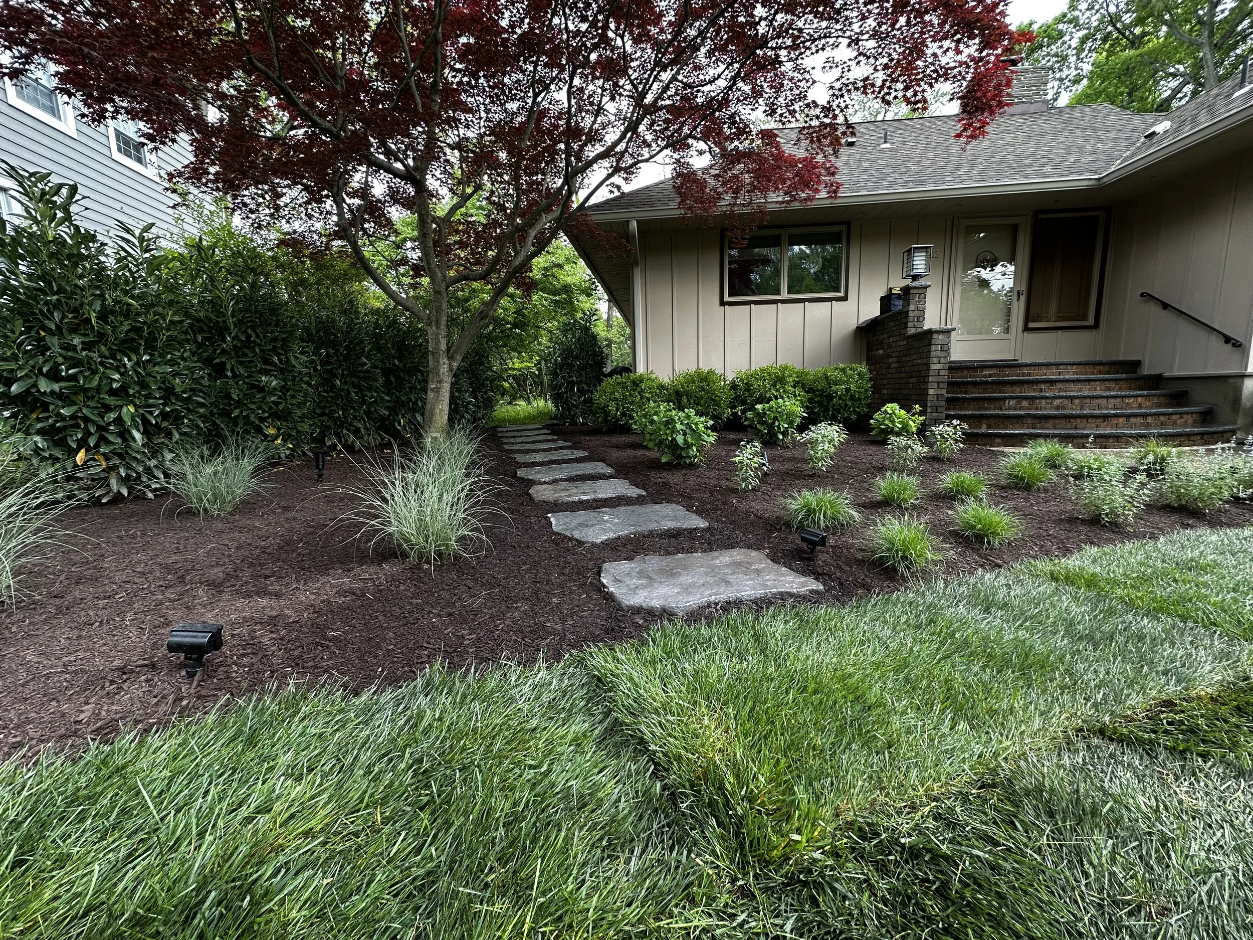 Backyard garden with a stone pathway leading to a house with steps, a red Japanese maple tree, shrubbery, and outdoor lighting