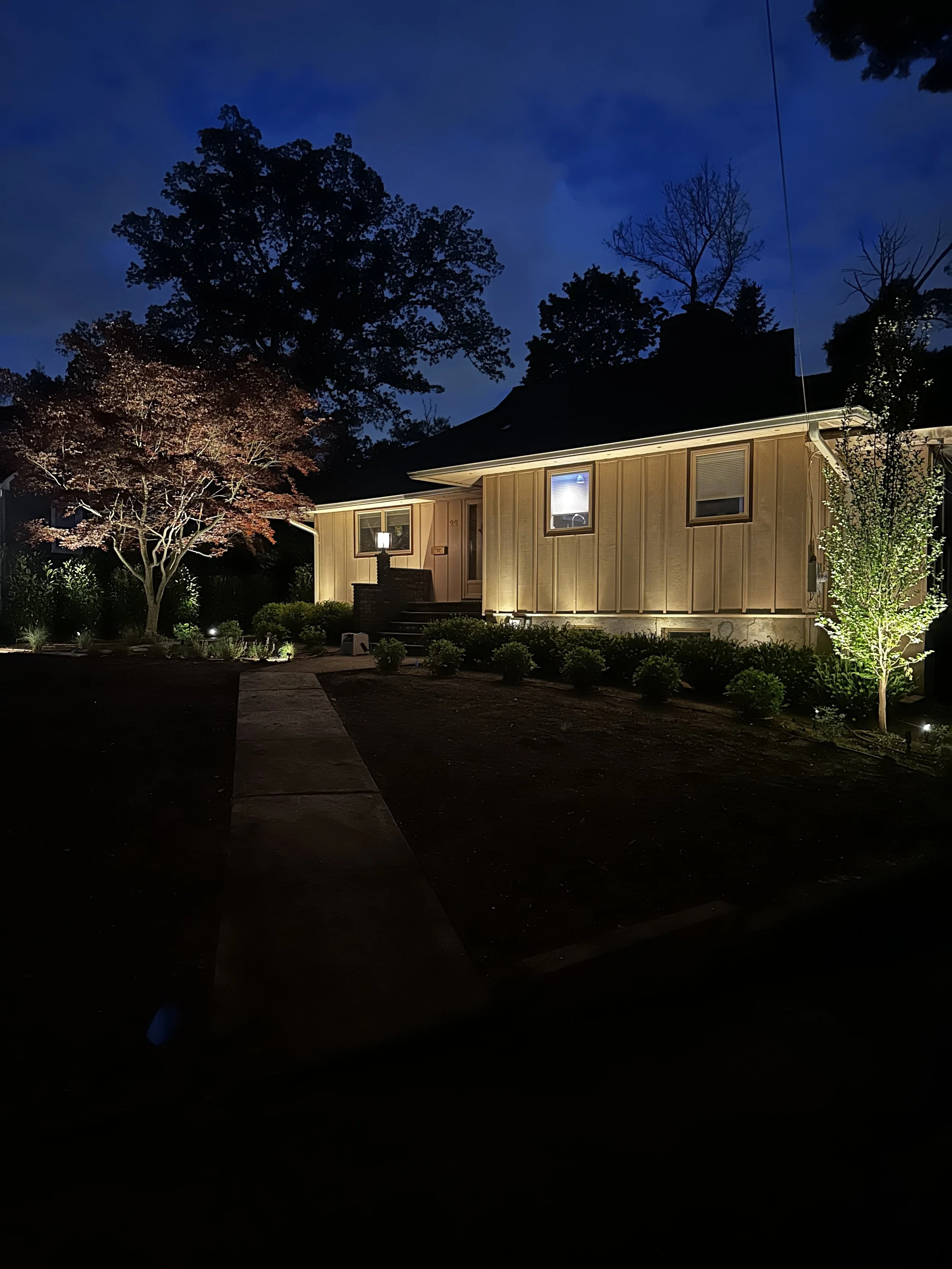 A house illuminated at night with a pathway leading to the front steps, landscaped with trees and bushes.