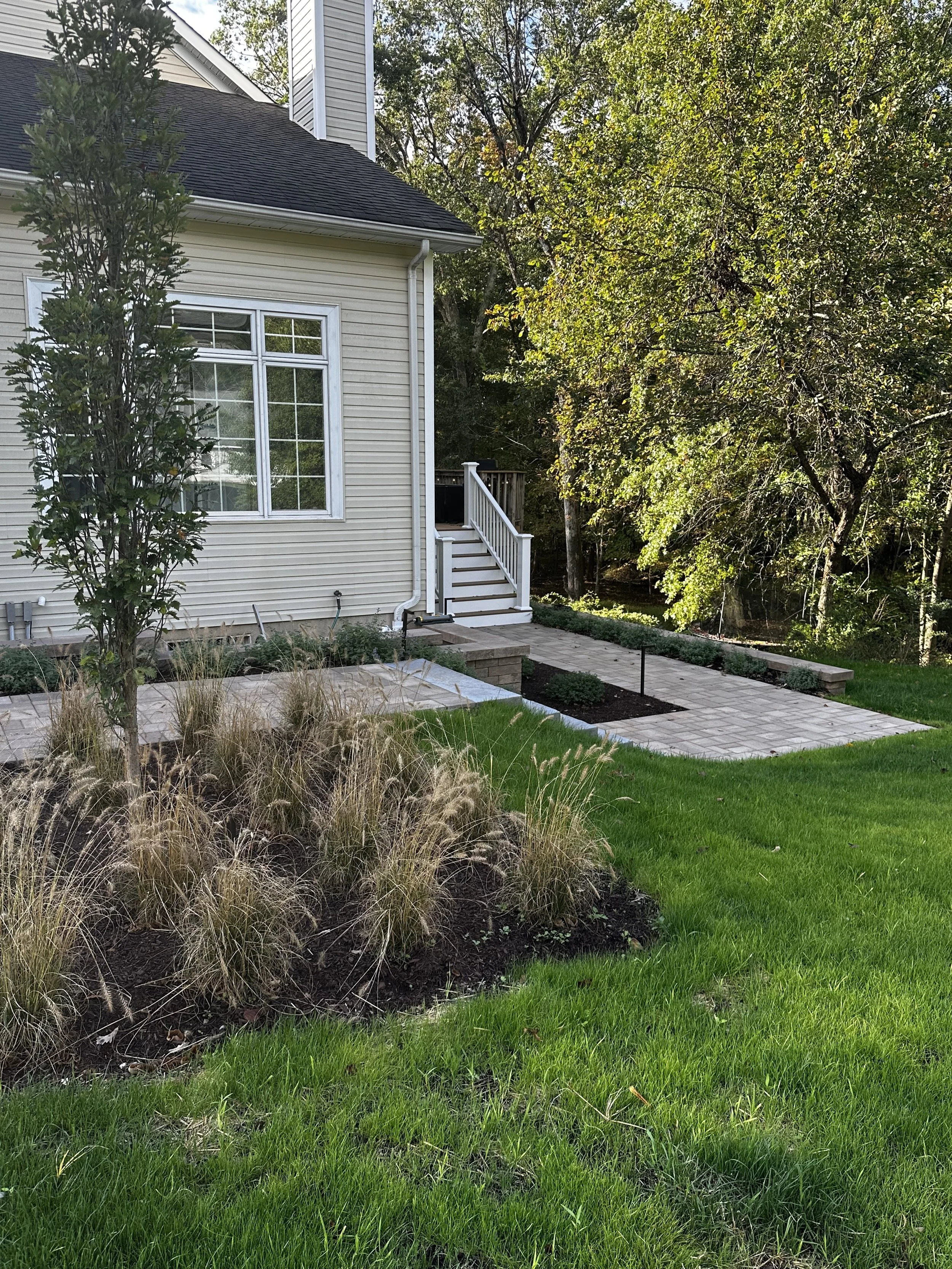 A backyard landscape with a lawn, a plant bed with ornamental grasses, a paved pathway, and a deck with stairs leading to the house. There are trees in the background and a house with beige siding and a large window.