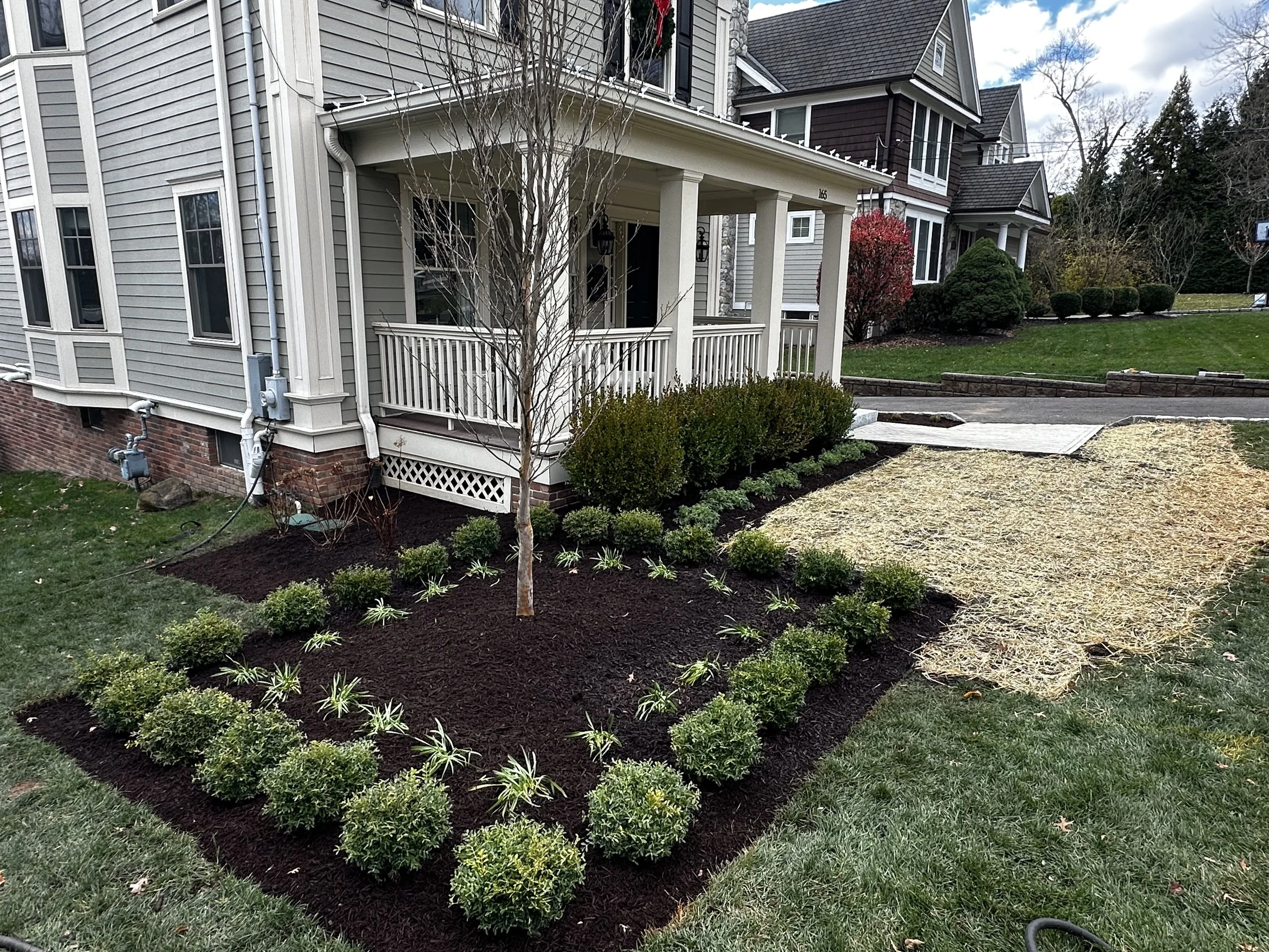Front yard landscaping with newly planted bushes, a small tree, and freshly laid mulch surrounding the front porch of a house in a suburban neighborhood.