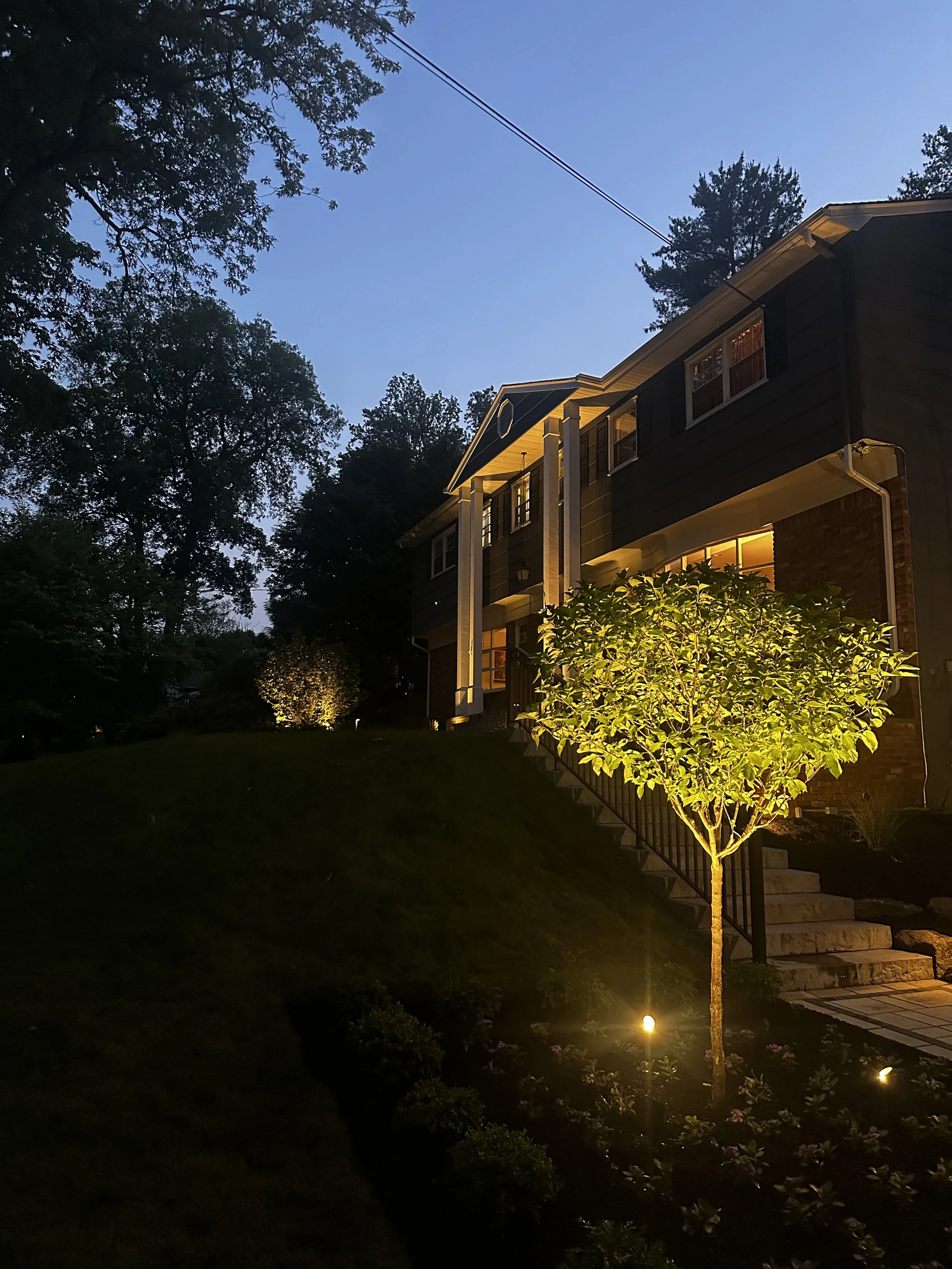 Nighttime view of a house with lit-up windows, a small illuminated tree in the front yard, and landscape lighting along the pathway and stairs.