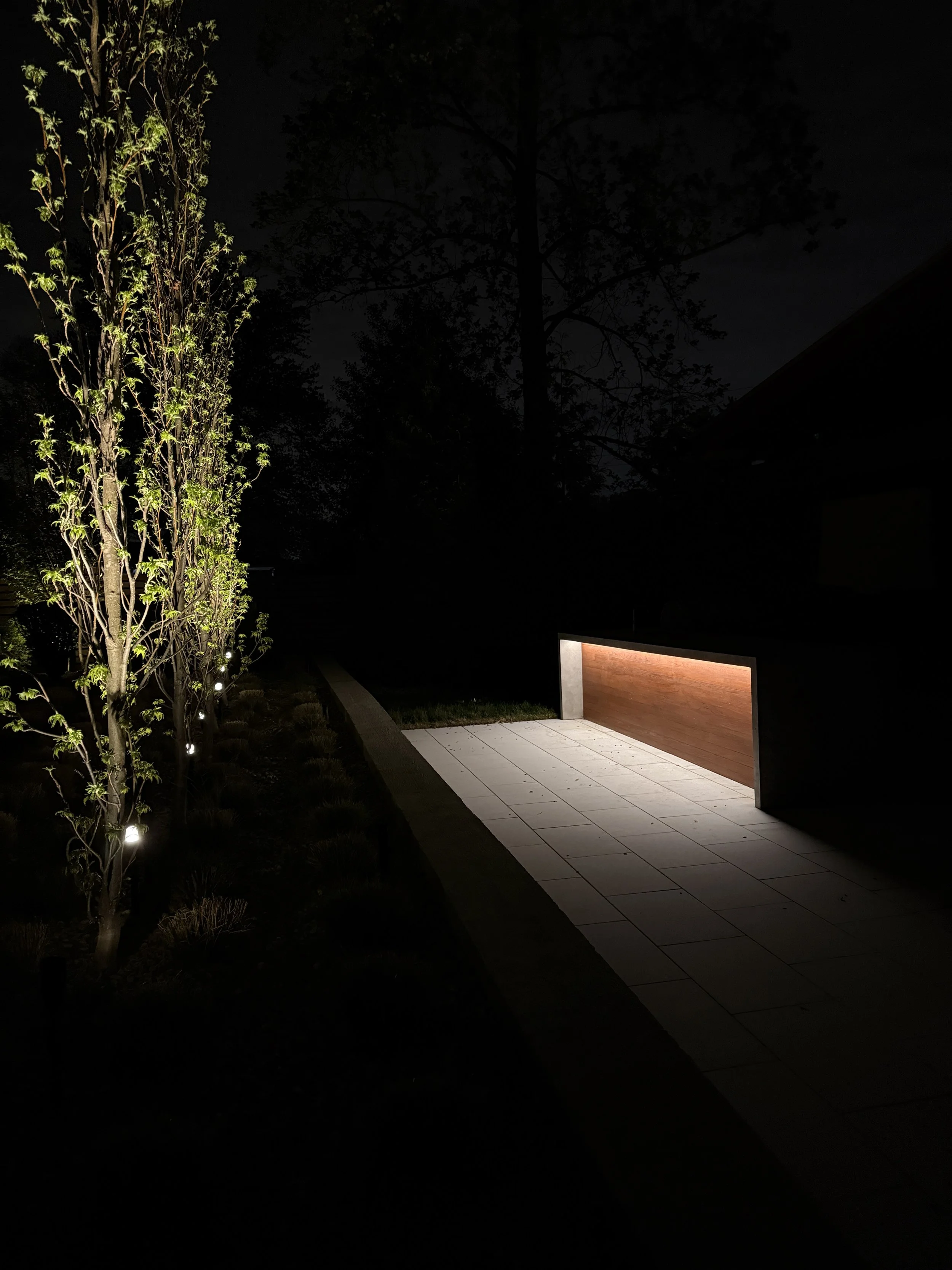 Night view of a modern outdoor space with illuminated trees on the left, a paved walkway, and a lit wall feature on the right.