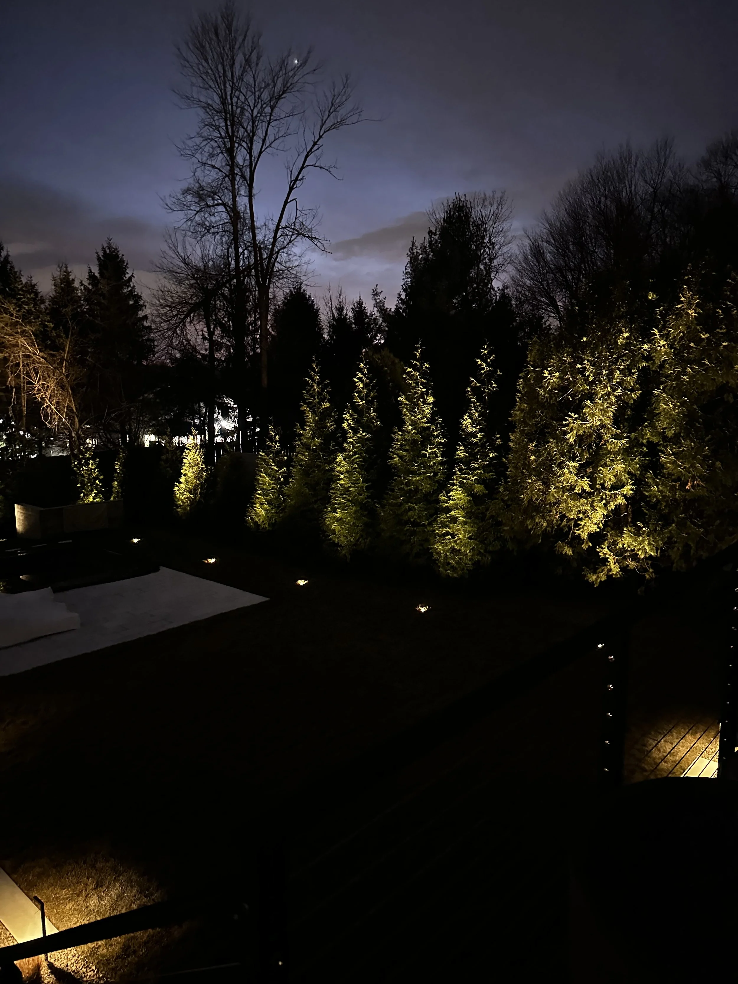 Nighttime scene of a backyard with tall trees illuminated by outdoor lights, with a dark sky and a bright object, possibly the moon, in the sky.
