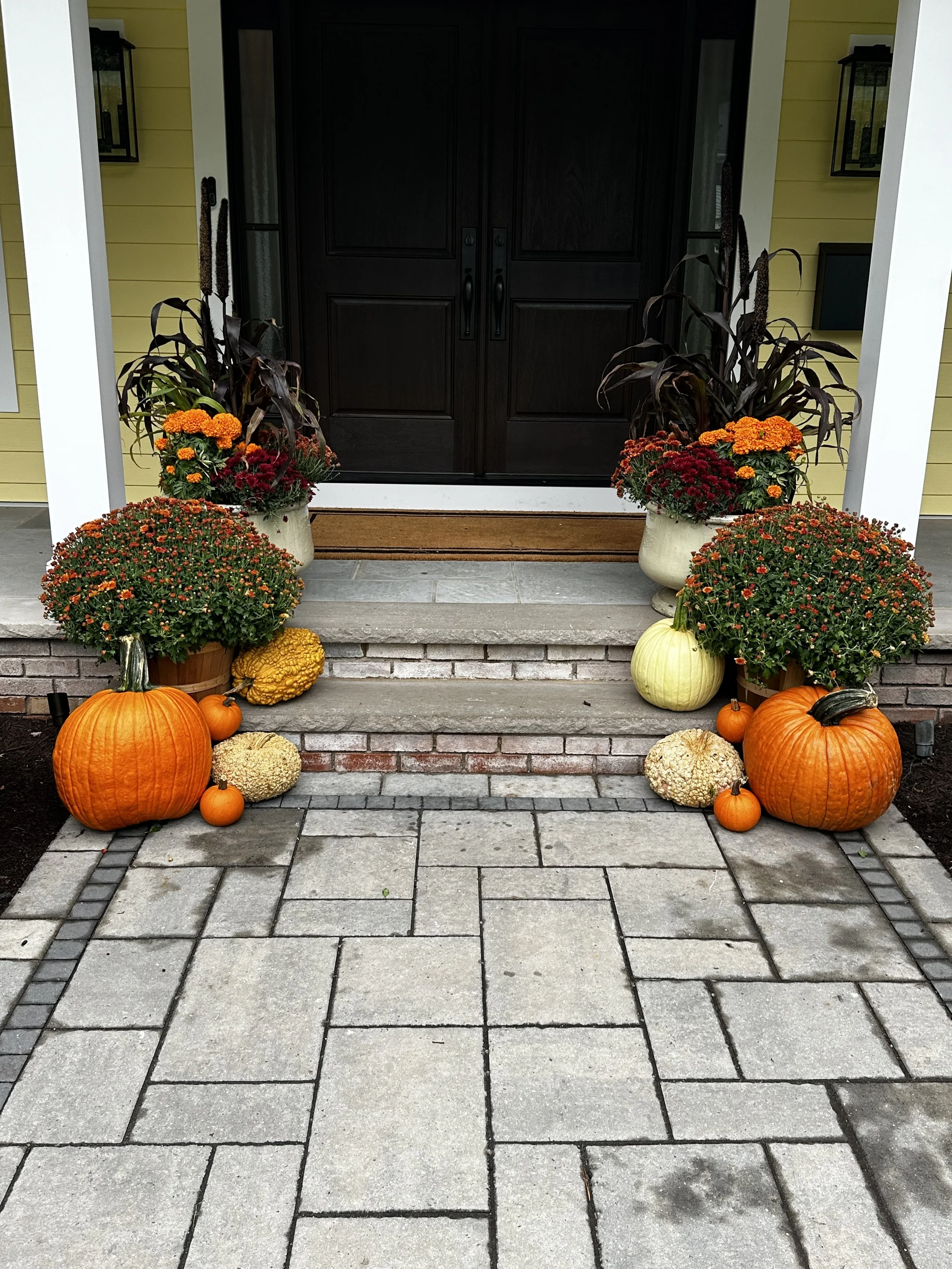 Front porch decorated with pumpkins and flowers for fall, with pumpkins of various sizes and colors, orange, white, and green, positioned on steps and on the ground, and potted plants with colorful fall flowers flanking the door.