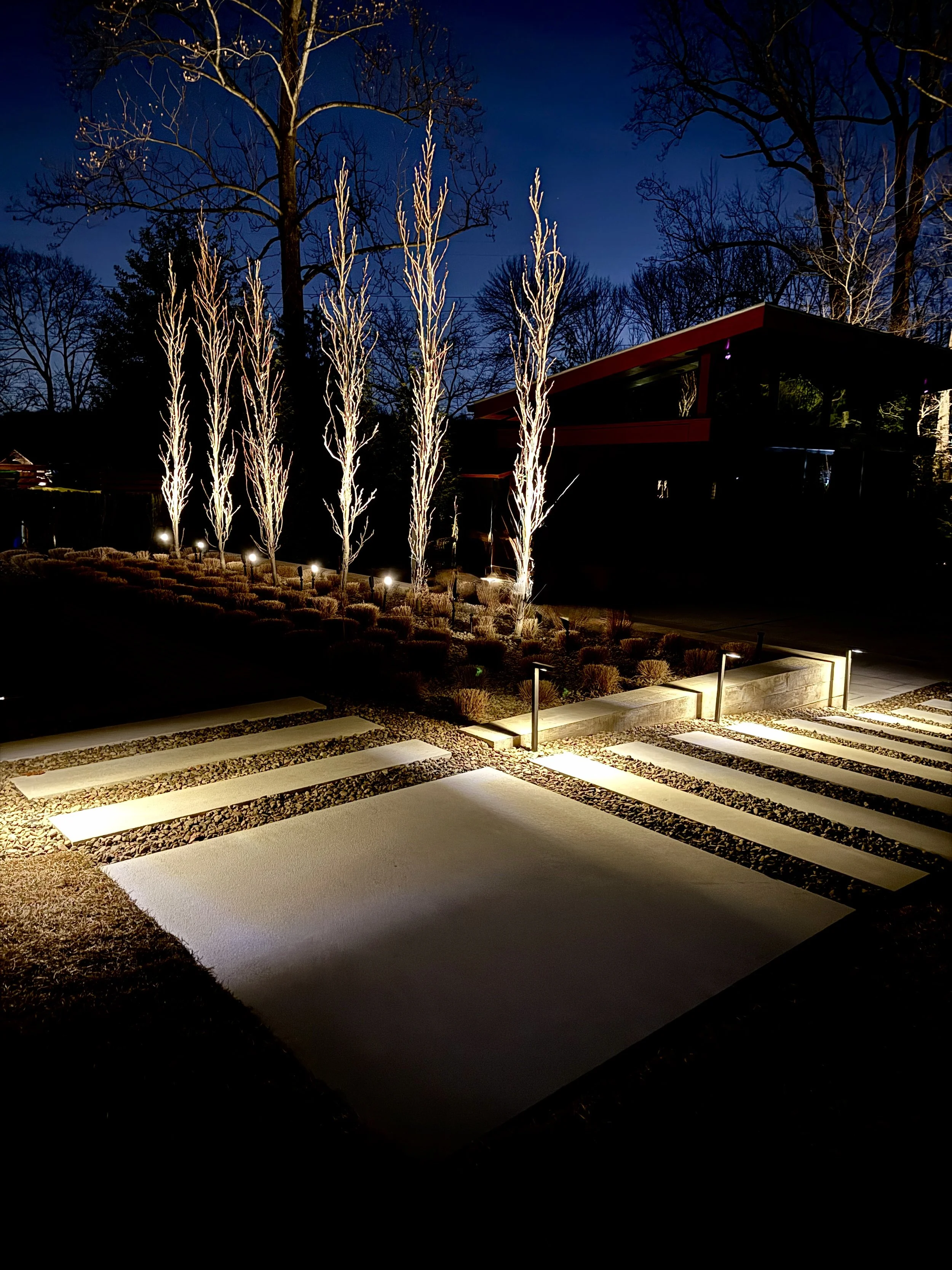 Nighttime view of a modern garden with illuminated trees, a pathway with lights, and a building in the background.