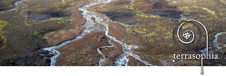 banner-drainage.jpg