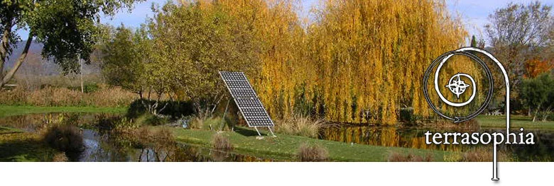 banner-fall-trees.jpg