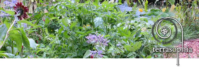 banner-forest-garden.jpg